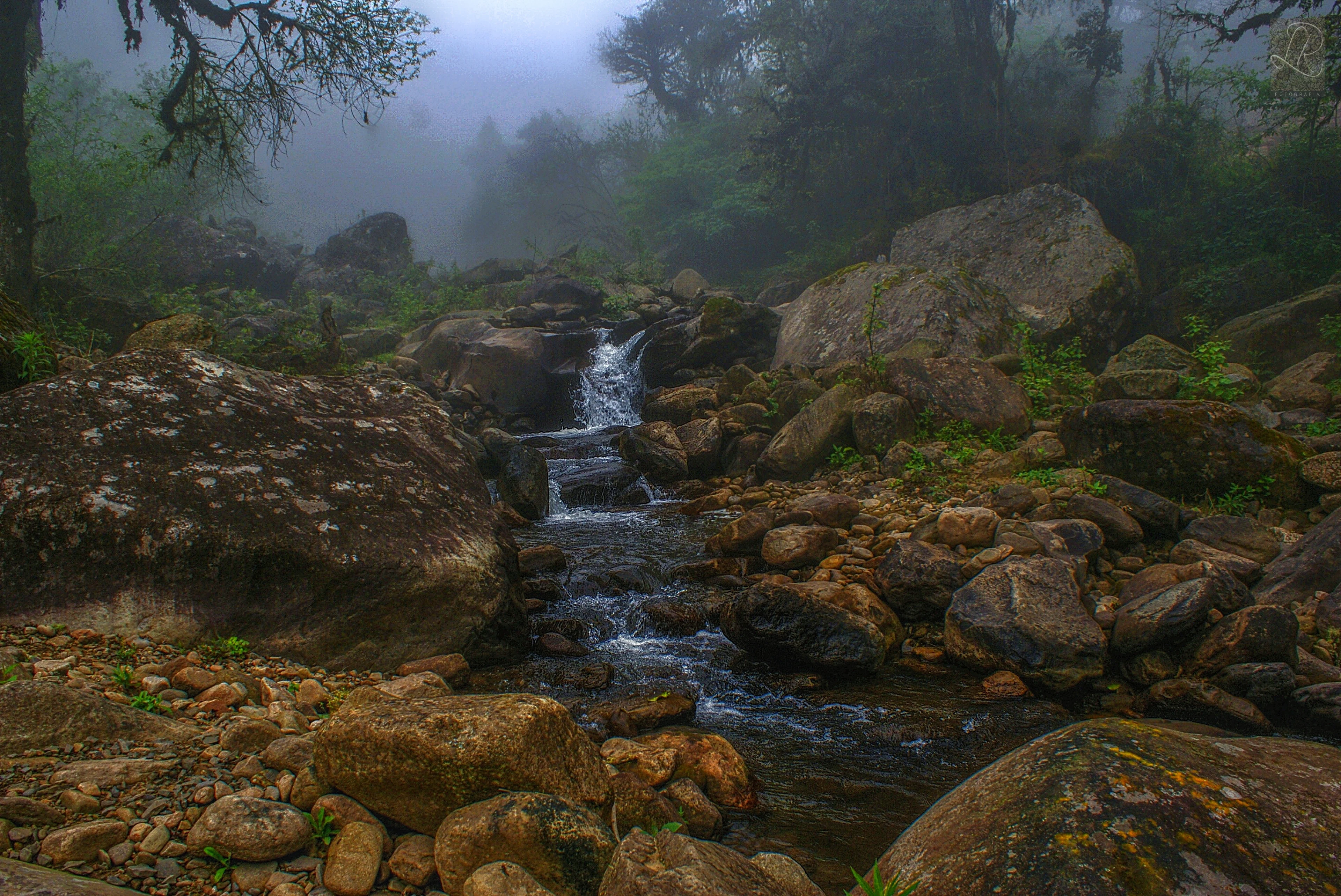 A small rocky stream cascades down a misty, forested slope in the Tariquía National Flora and Fauna Reserve.