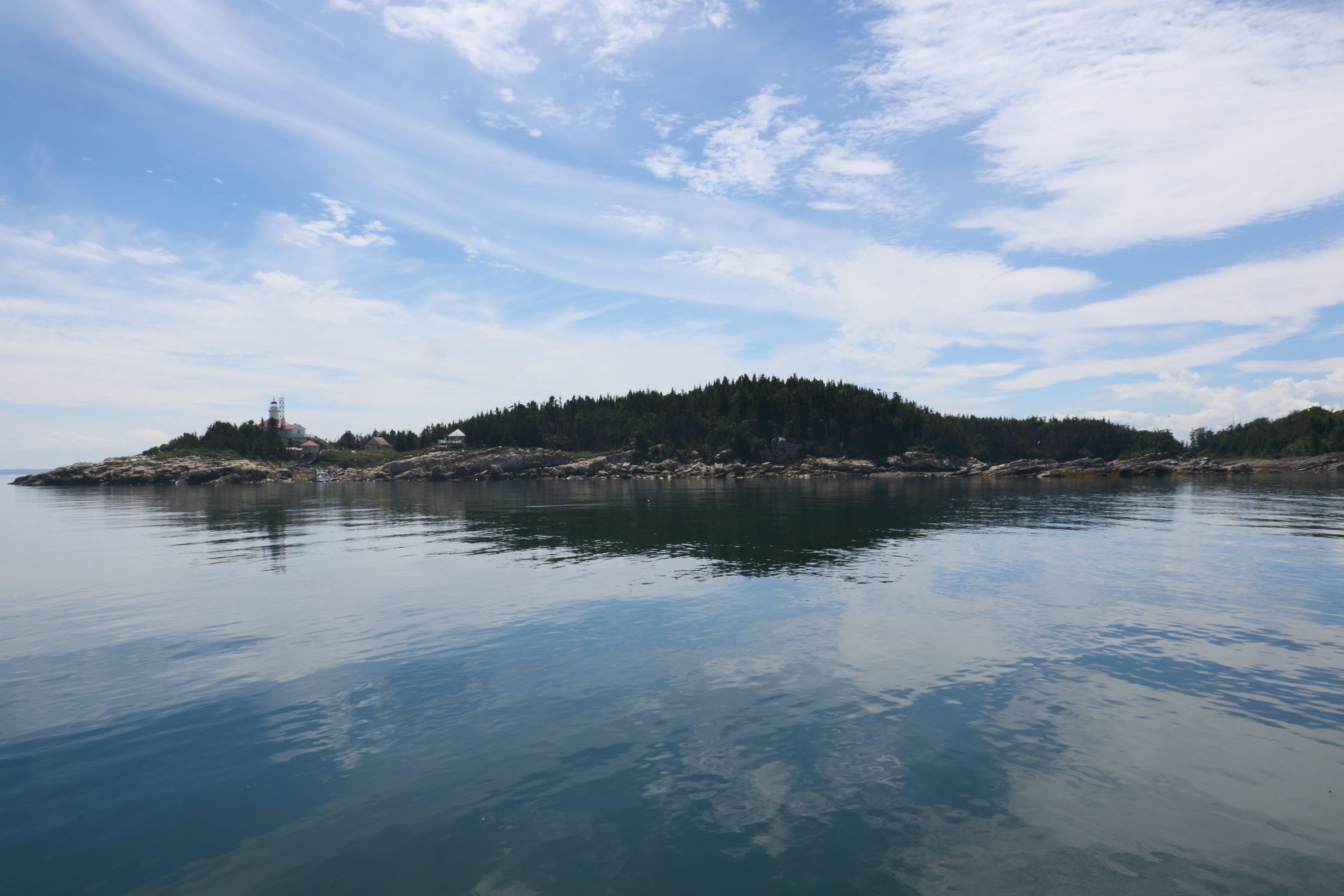 A calm, wide view of a small forested island with rocky shores, surrounded by reflective water under a blue sky with light clouds.