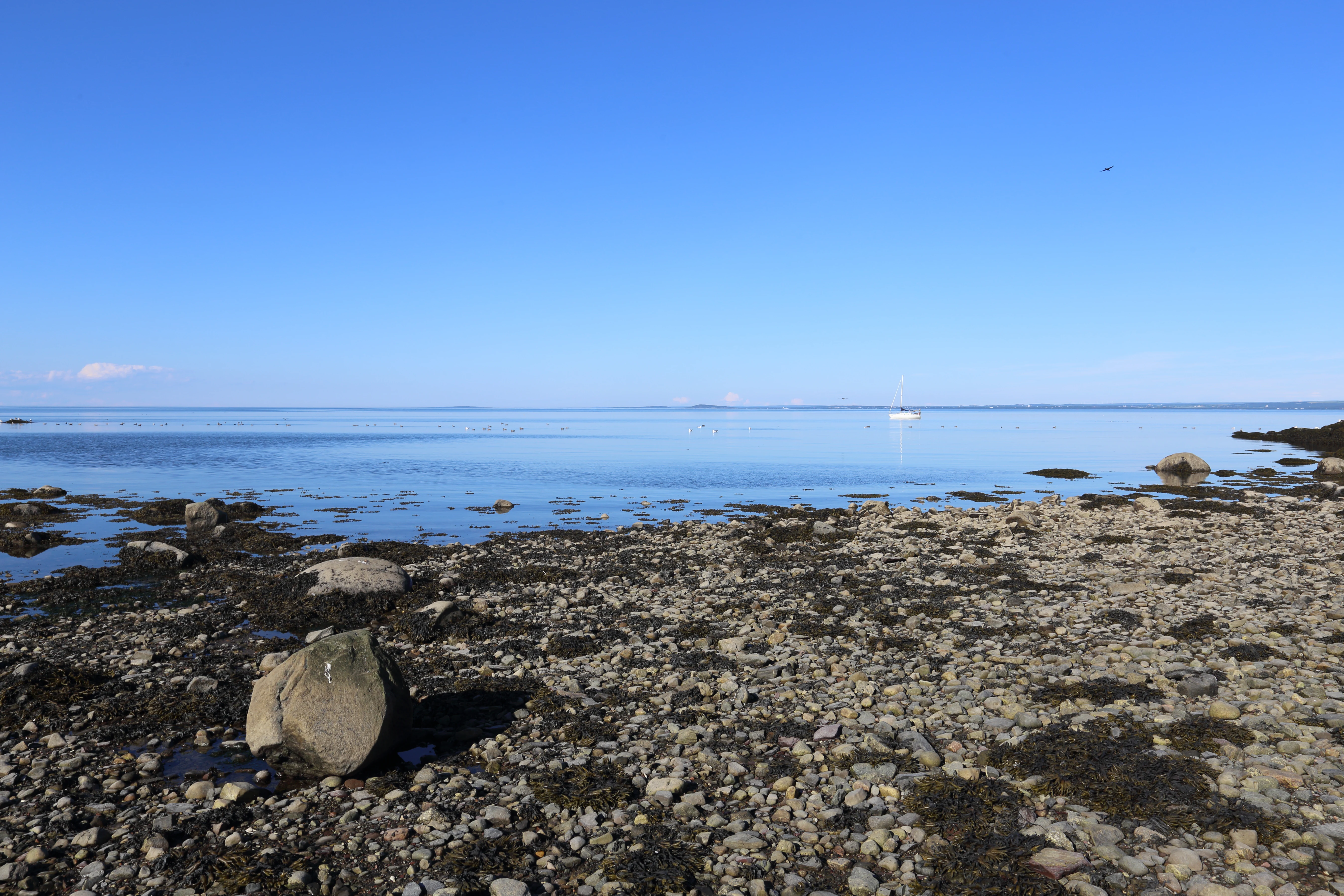 A rocky, pebble-covered shoreline leads to calm, blue water under a clear sky.