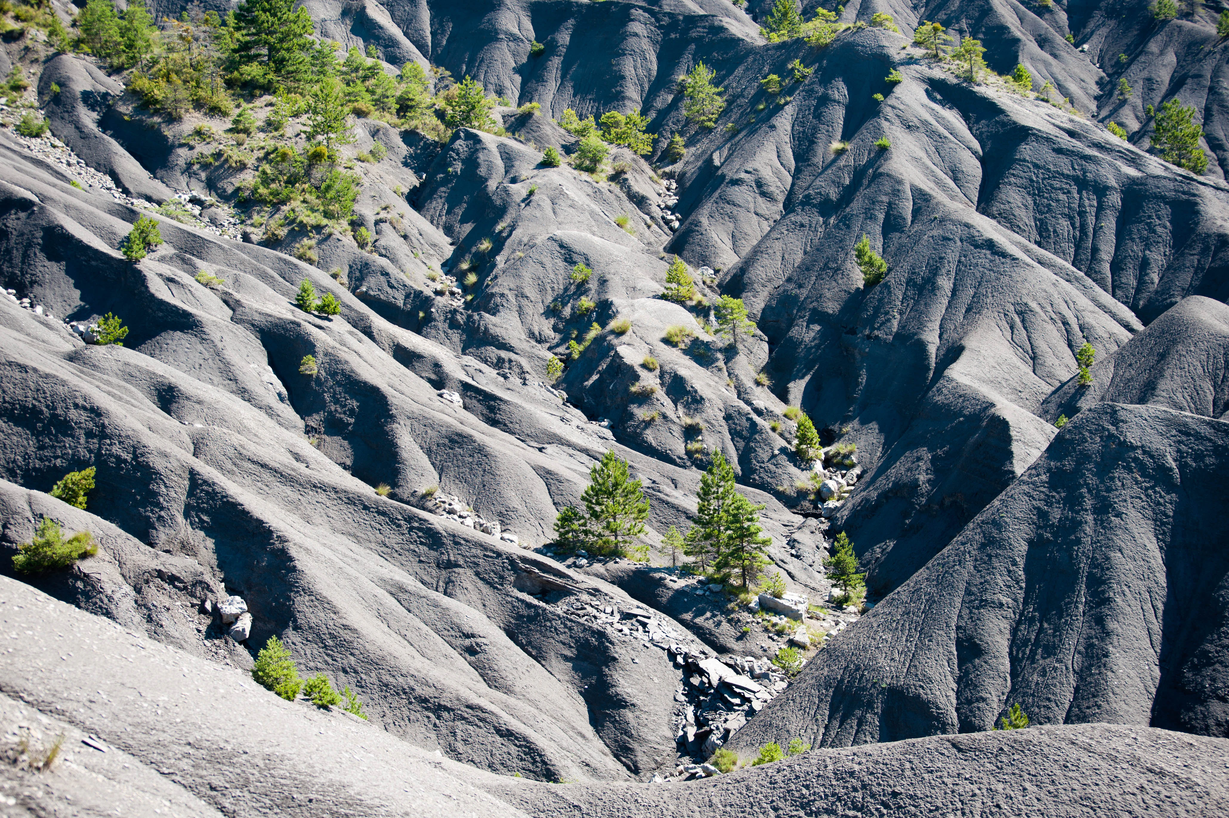 A wide angle view of steeply eroded dark gray slopes and badlands featuring sparse small green trees and shrubs.