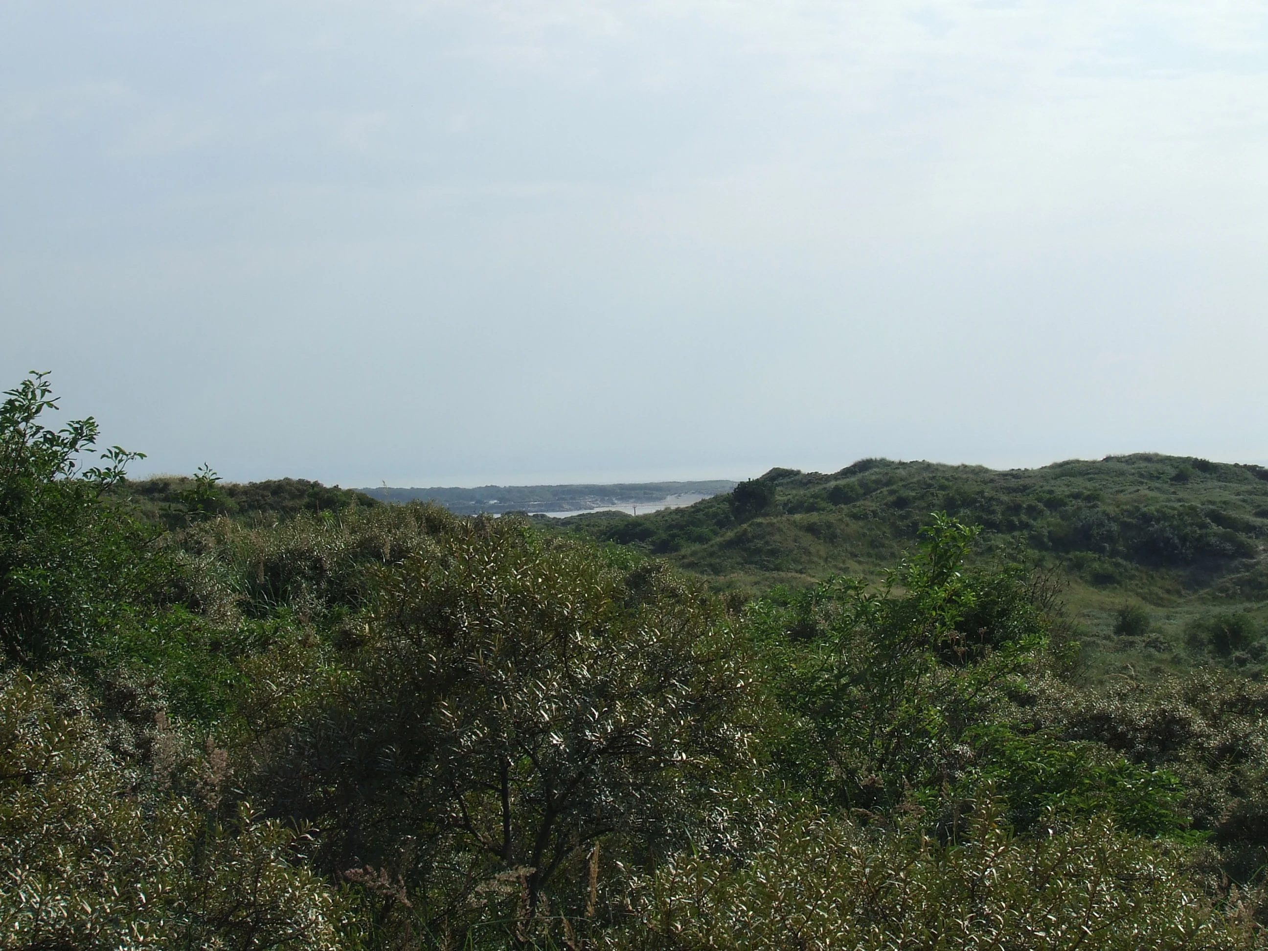 A wide, eye-level view of vegetated sand dunes under a bright, overcast sky, with a sliver of distant water visible on the horizon.