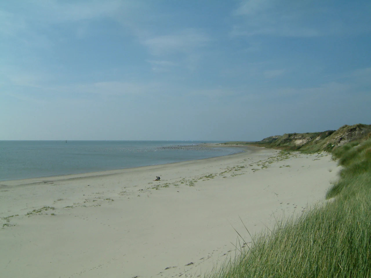 A wide-angle landscape shot of a long, empty sandy beach bordering the sea under a clear blue sky, with grassy sand dunes on the right side.