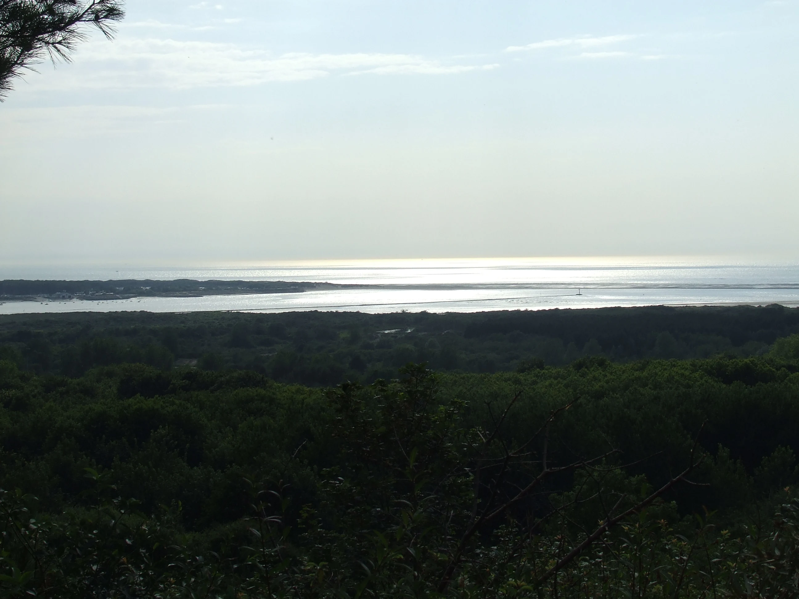 A wide, high-angle view looking over a dense forest canopy in the foreground towards a broad, sunlit estuary and the distant coastline under a hazy sky.
