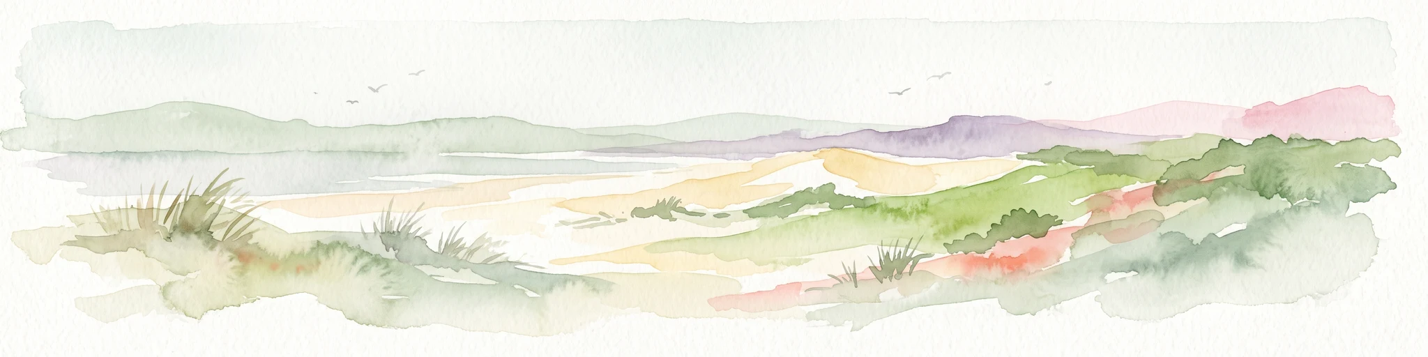 Watercolor painting of a coastal landscape with sand dunes, beach grasses, and distant hills under a light sky.
