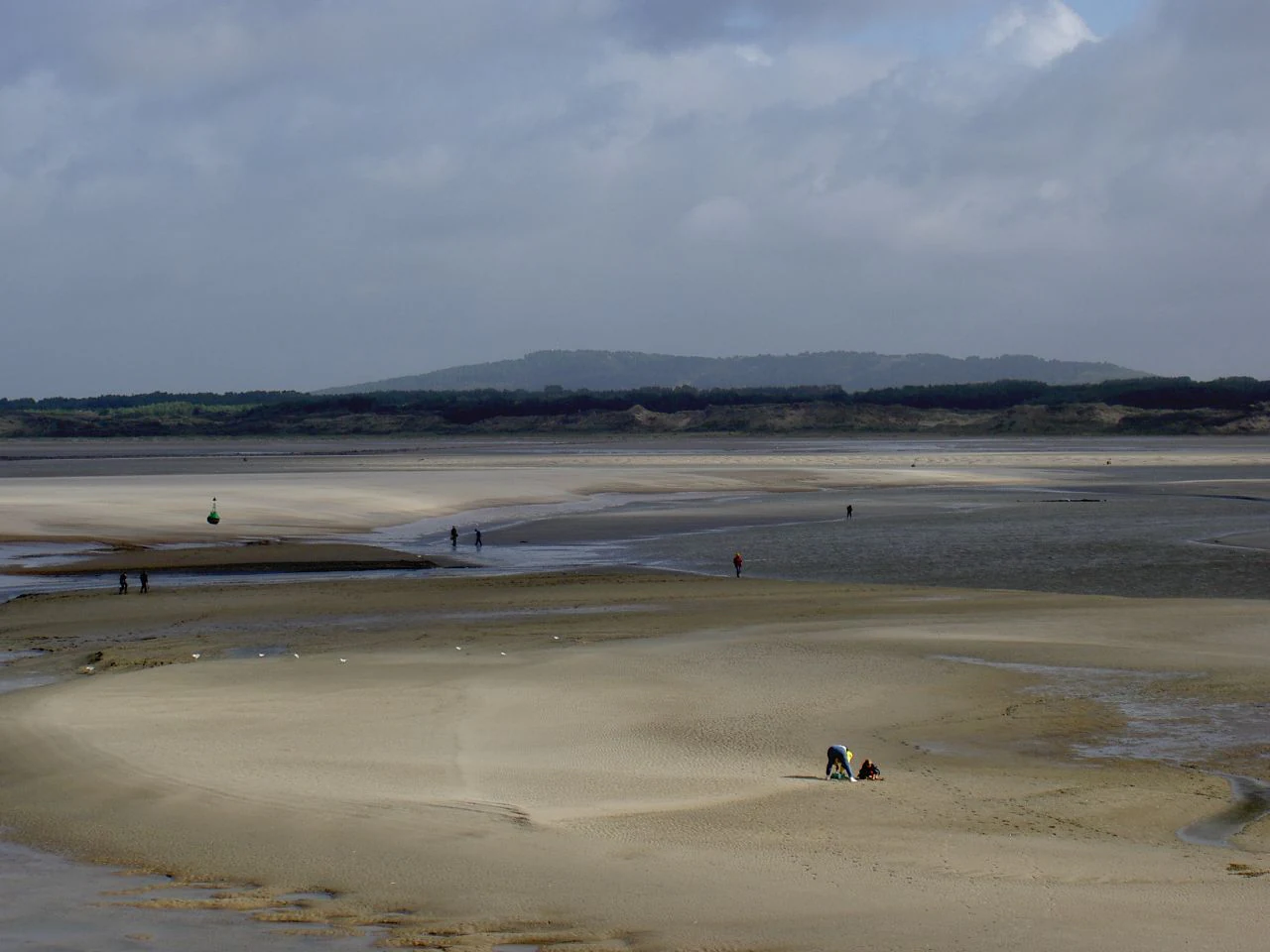A wide, sandy estuary at low tide with people foraging for shellfish in the distance and a person harvesting in the foreground.