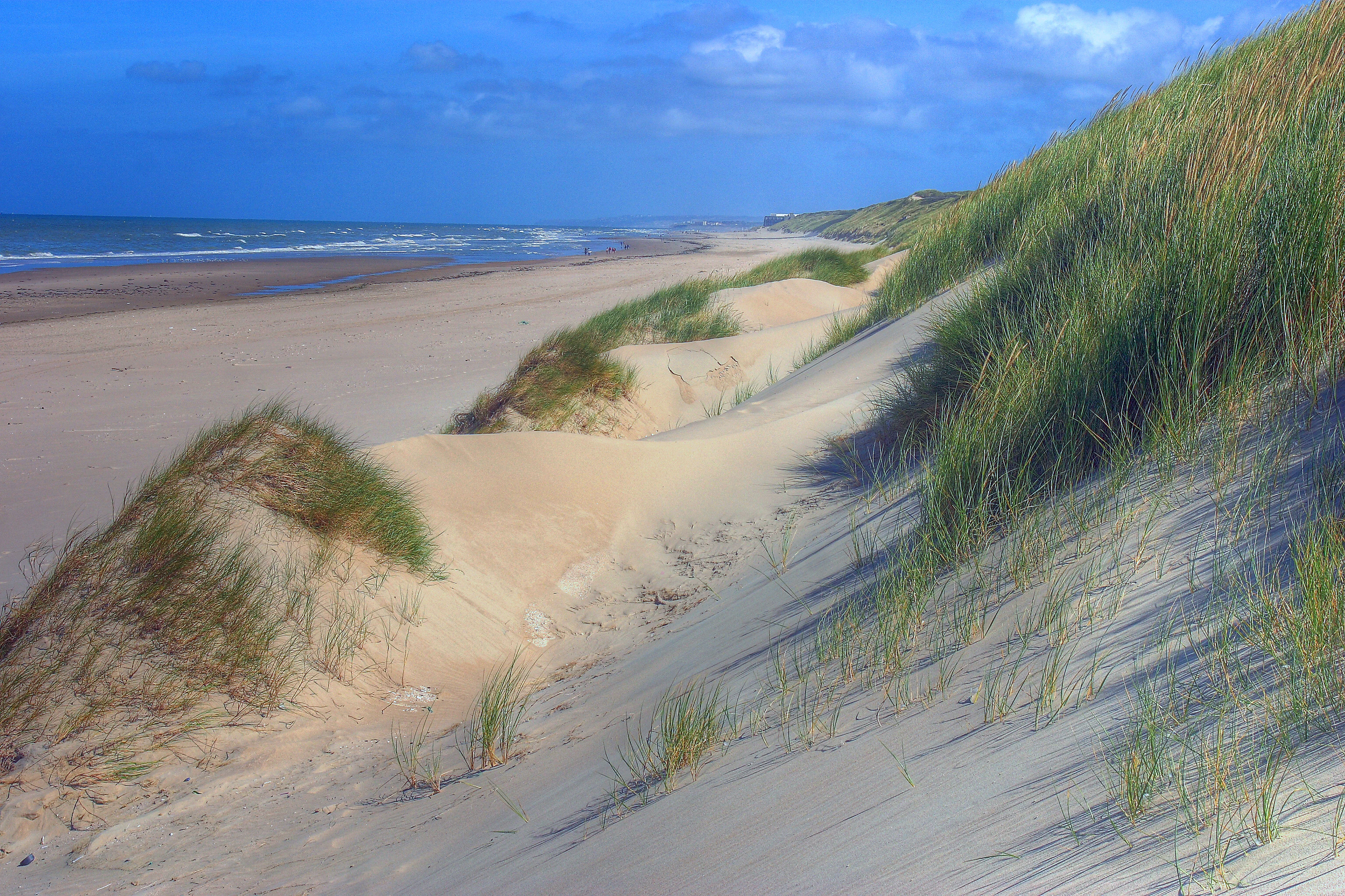 A wide angle view of sandy dunes covered in marram grass leading down to a wide, flat beach and the ocean under a blue sky.
