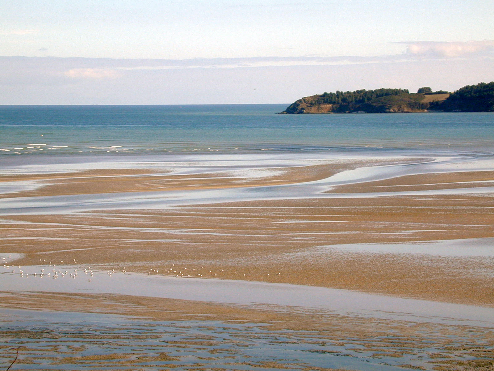 Wide shot of a vast sandy tidal flat under a pale sky, with shallow water channels and a dark headland visible in the distance.