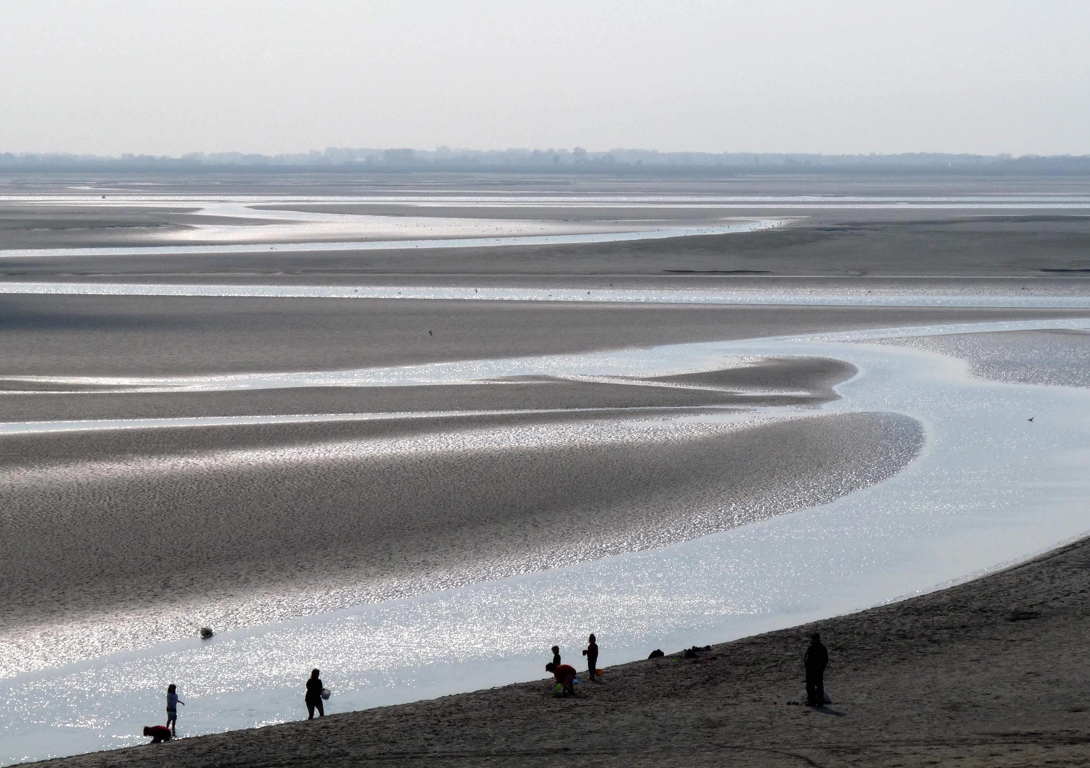 Wide landscape view of tidal mudflats and shallow winding water channels in the Baie de la Somme, with several people and dogs walking along a sandy slope in the foreground.