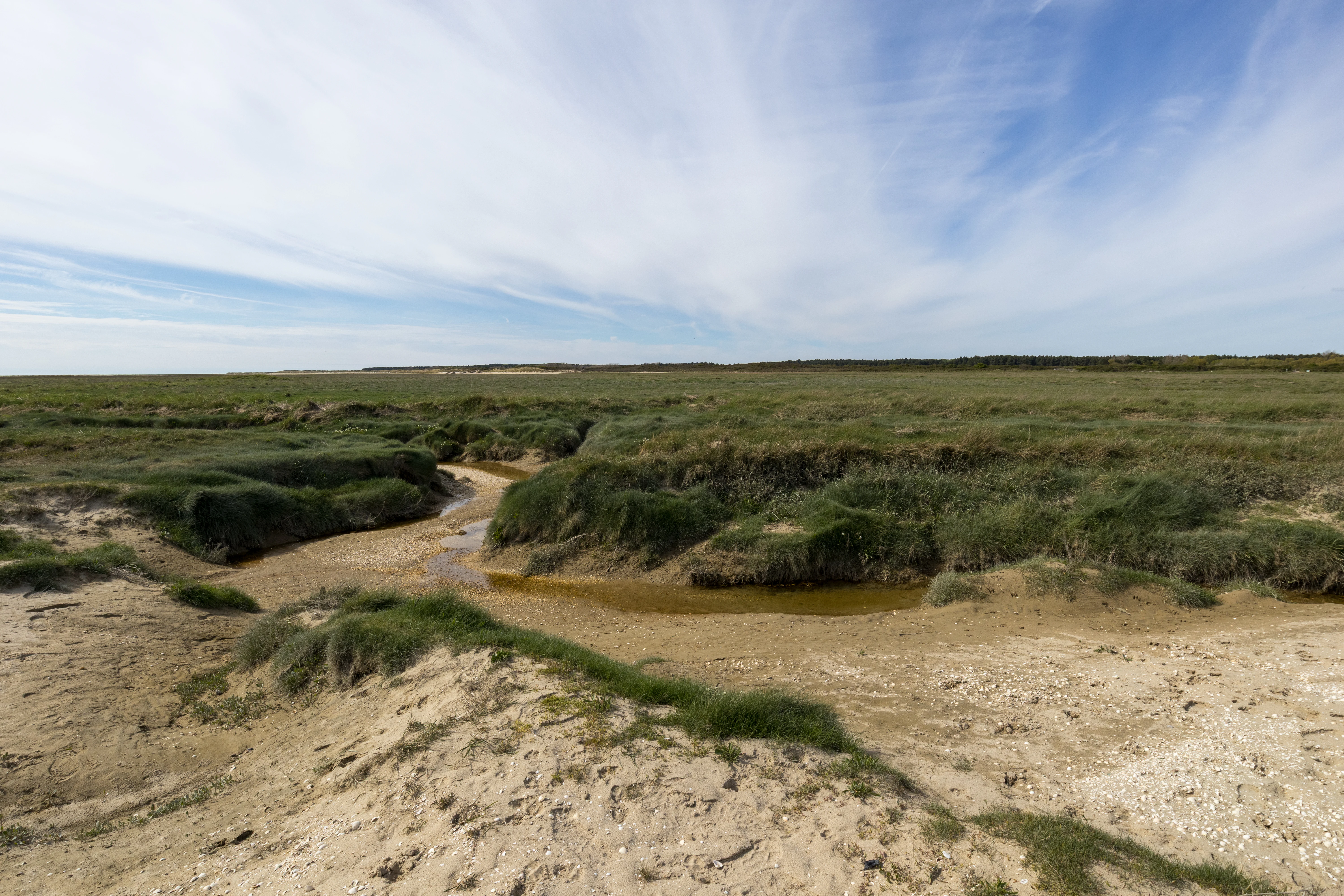 A wide view of coastal mudflats with a small winding tidal channel cutting through green salt marsh vegetation under a blue sky with wispy clouds