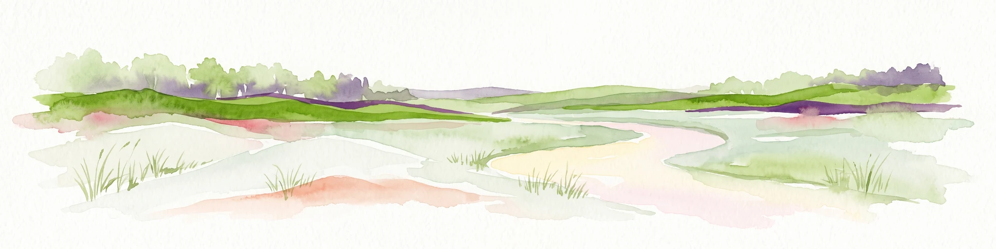 Watercolor painting of a coastal salt marsh with winding tidal channels, grassy banks, and soft green and purple tones.