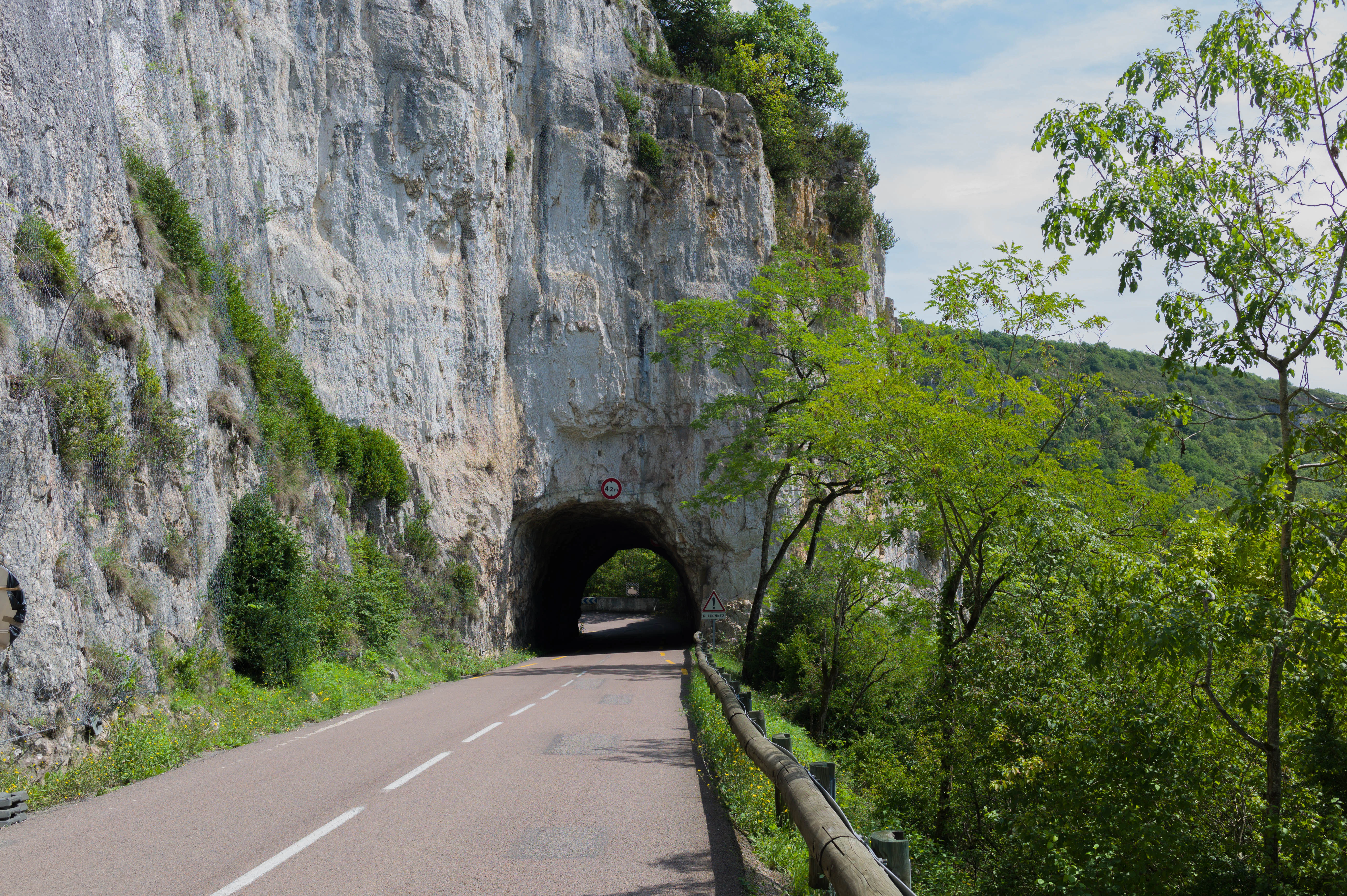 Una carretera pavimentada de un solo carril serpentea hacia un oscuro túnel de roca excavado directamente en un acantilado de piedra caliza gris pálido y escarpado, con frondosos árboles y arbustos verdes que crecen junto al acantilado y al borde de la carretera.