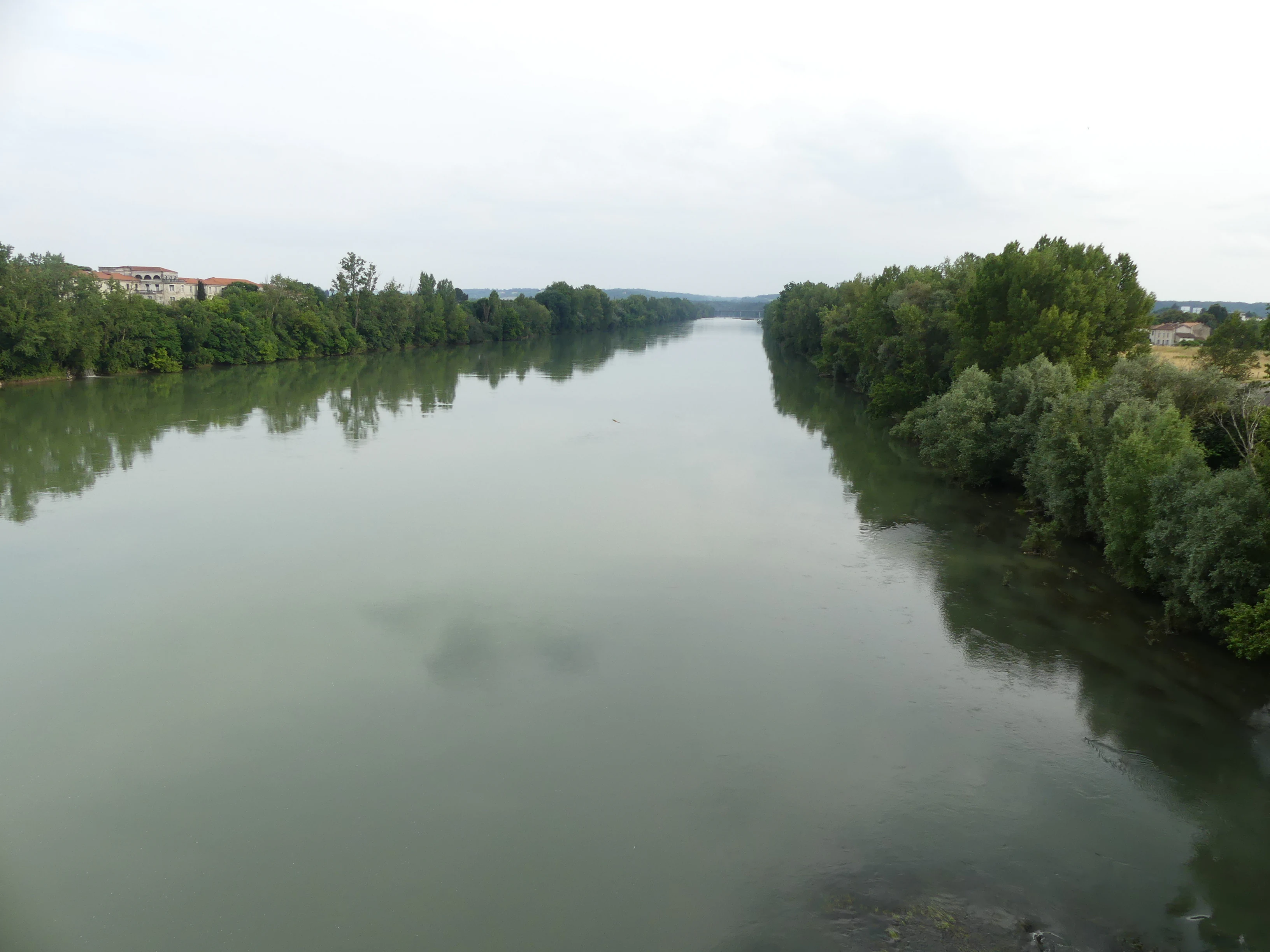 A wide view of a calm, wide river flowing through a lush, tree-lined landscape under a soft, overcast sky, taken from a bridge vantage point.