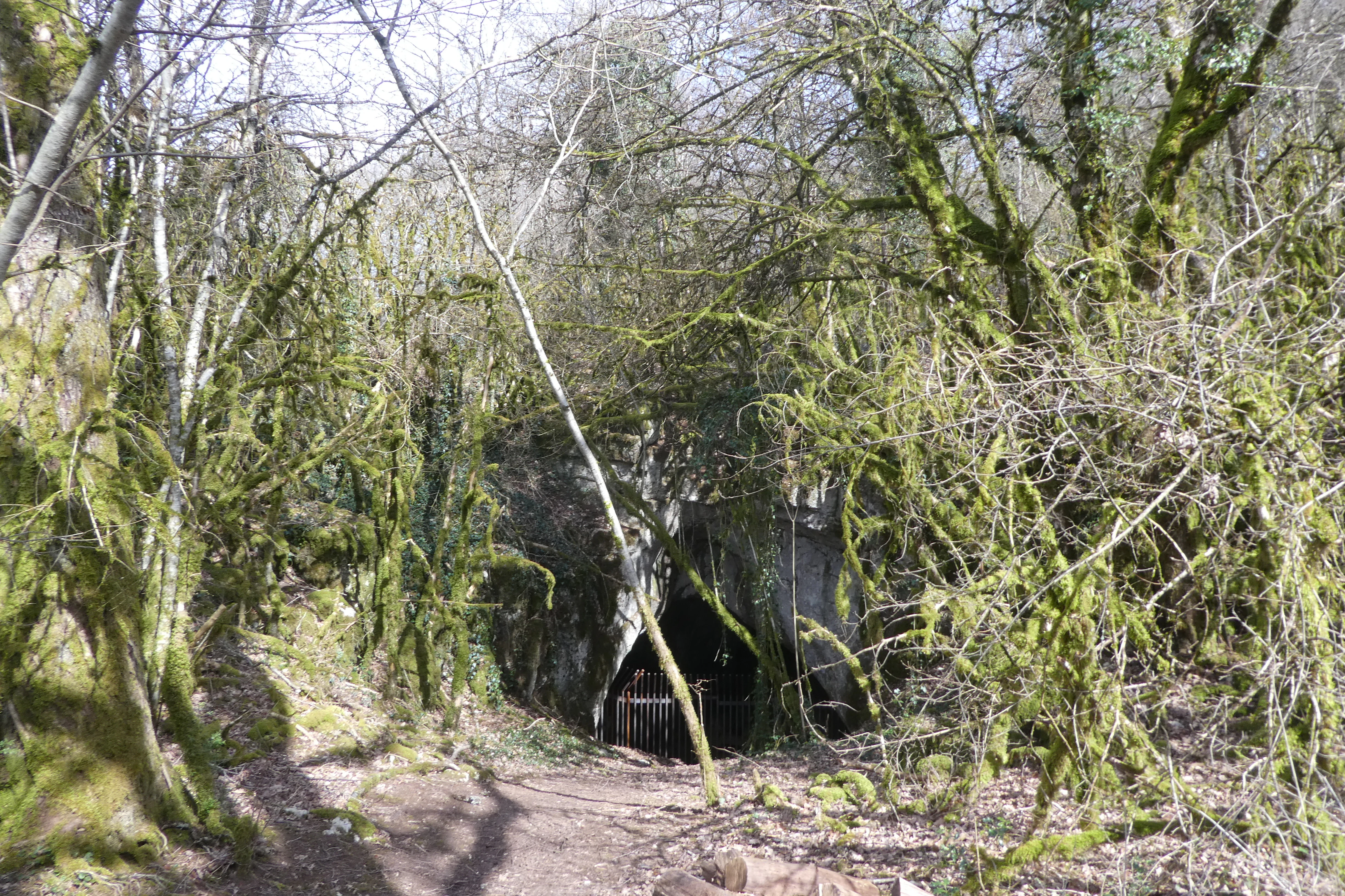 A small, dark cave entrance set into a rocky hillside, surrounded by dense, moss-covered trees and a small dirt path in the foreground.