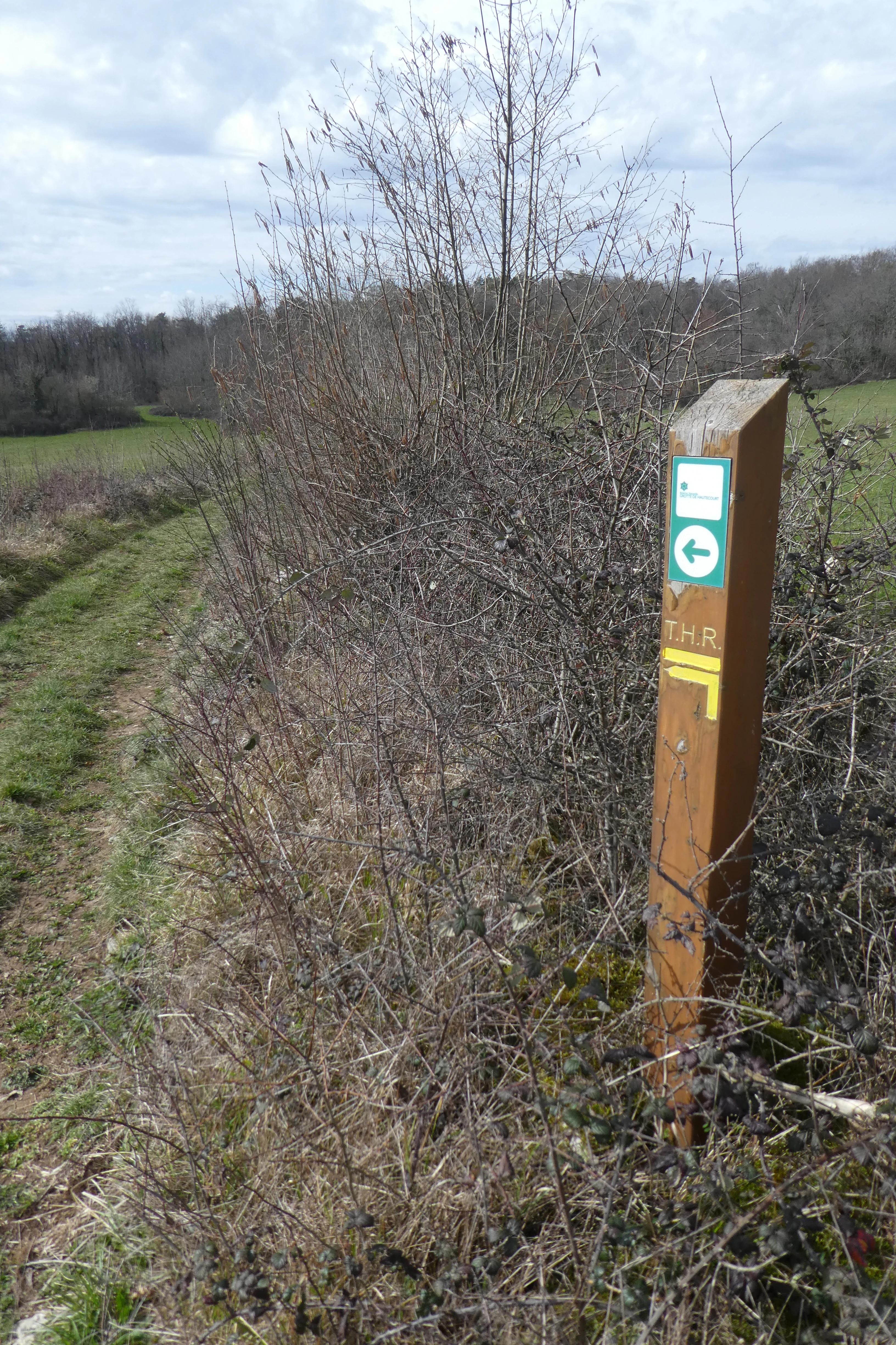 A weathered wooden trail marker post stands in a grassy field, displaying a green circular marker with a white arrow and a yellow trail marking.