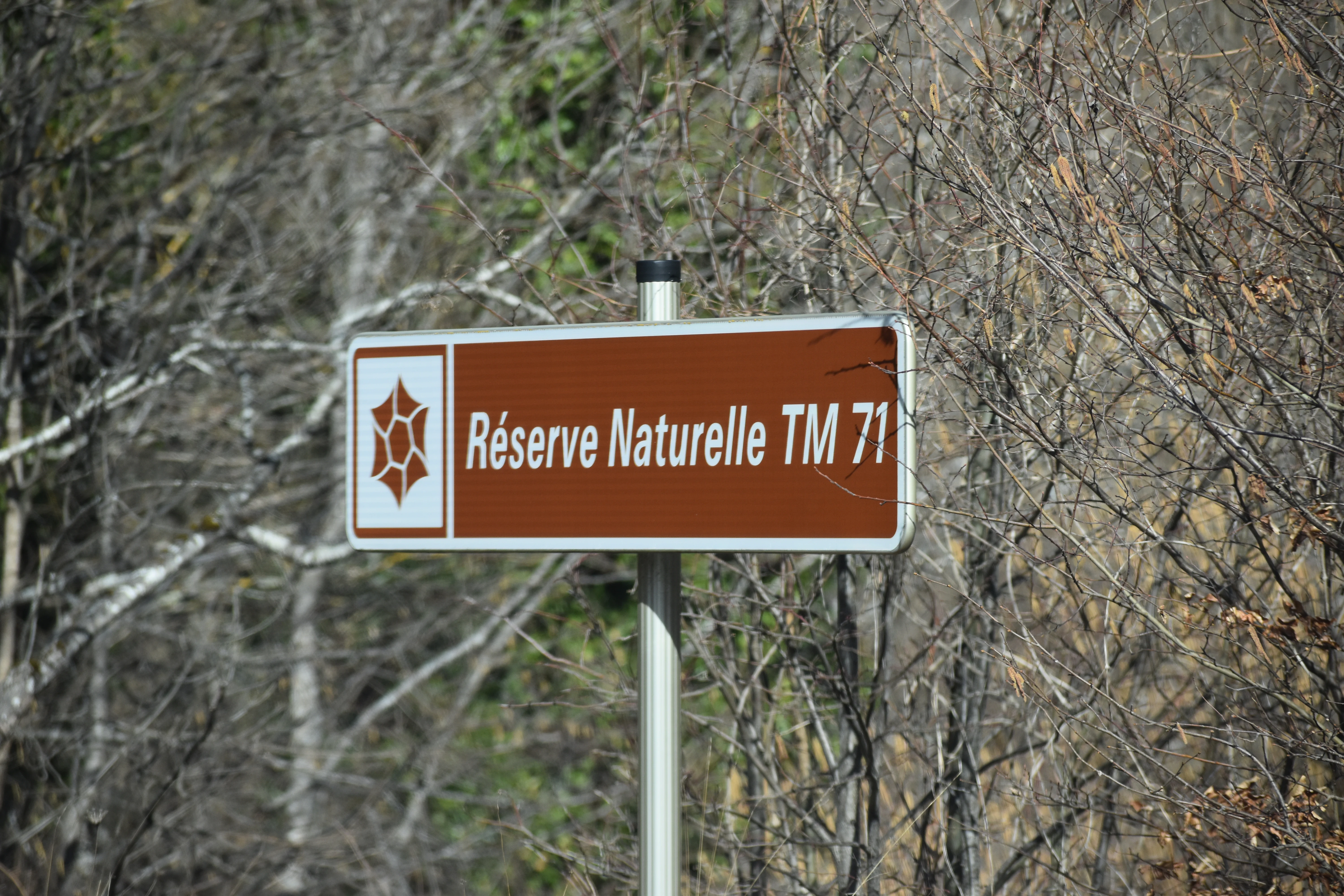 A brown rectangular informational sign for the Réserve Naturelle TM 71, featuring a white geometric emblem on the left, mounted on a metal pole against a background of bare trees.
