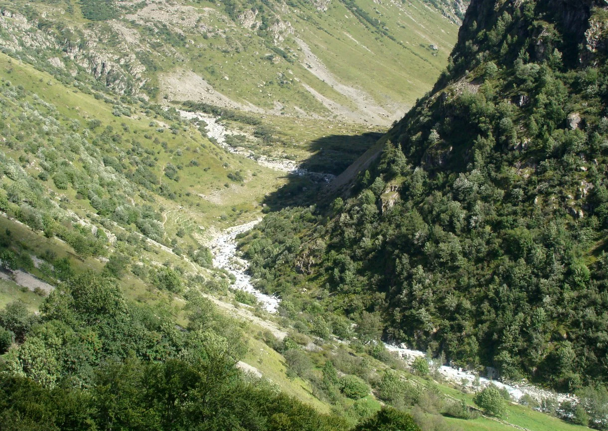 A high-angle view of a mountain valley in the French Alps, featuring a rushing white water river winding between steep green slopes covered in trees and shrubs.