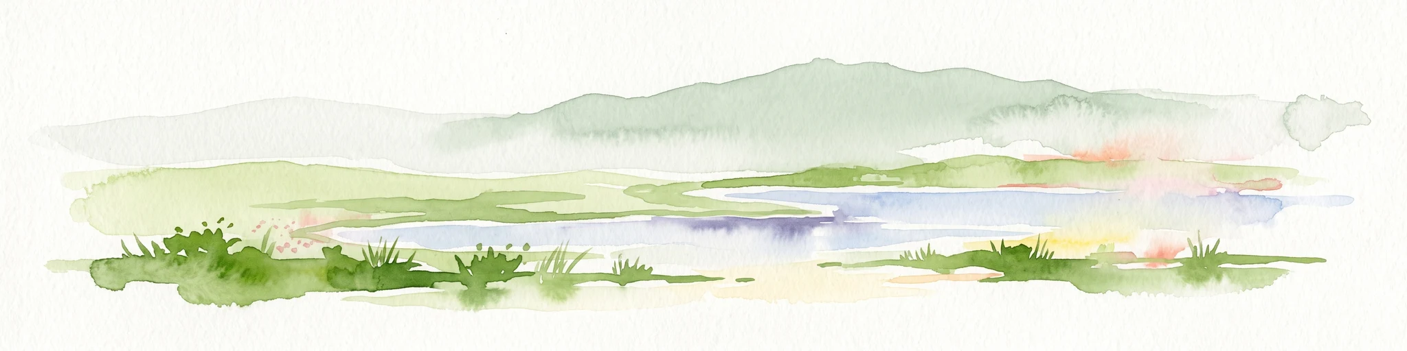 A horizontal watercolor painting showing a marshy wetland area with grassy foreground, a central pond, and soft green rolling hills in the distance.
