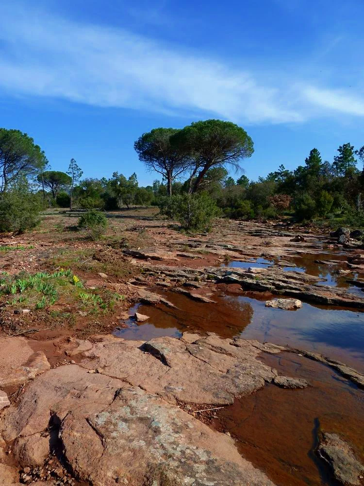 A landscape photograph showing reddish rocky ground with shallow pools of water reflecting a blue sky, surrounded by Mediterranean vegetation including stone pine trees and low shrubs.