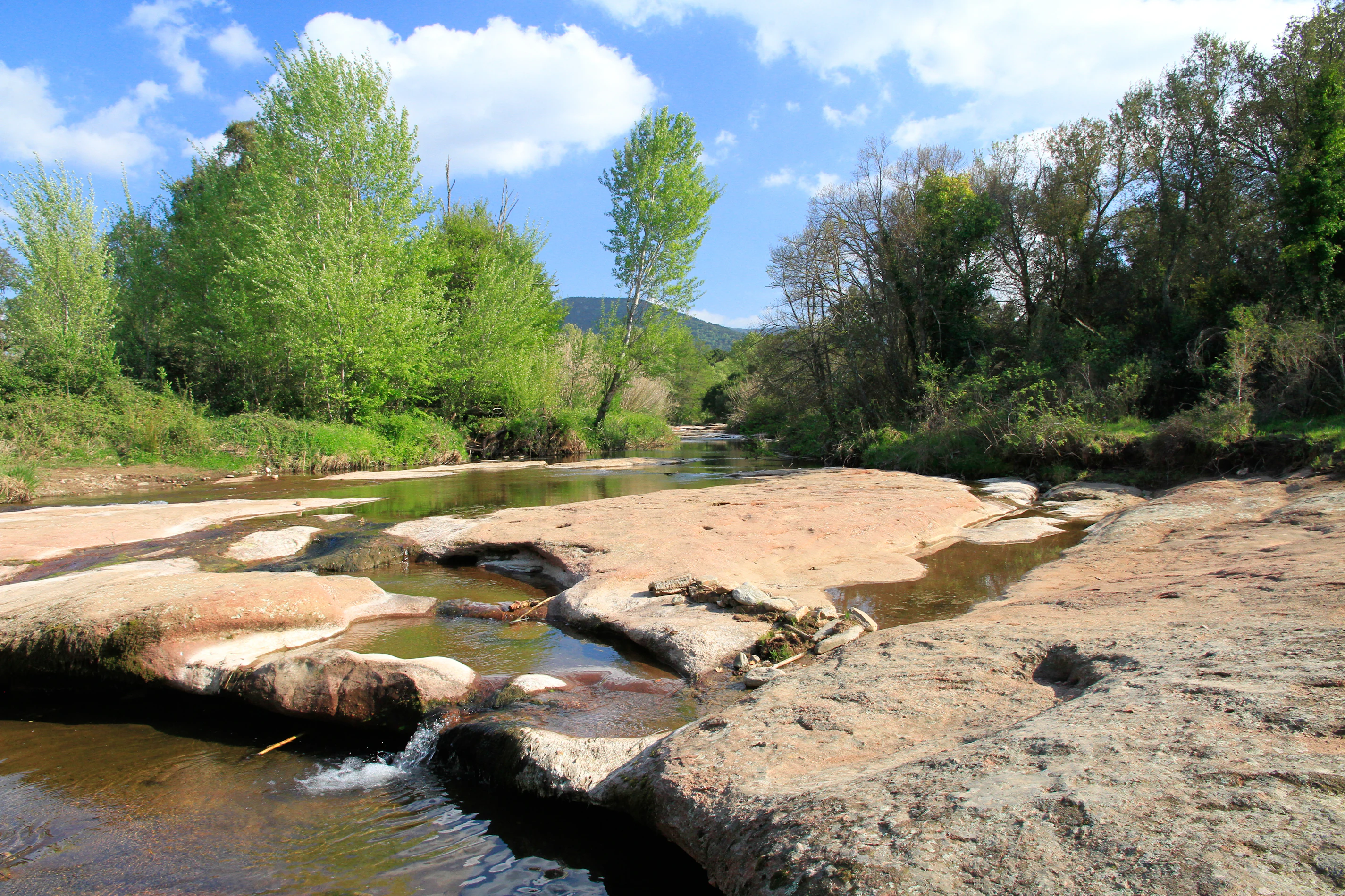A shallow stream flows over wide, flat, reddish-brown rocky beds surrounded by green trees under a blue sky with white clouds.