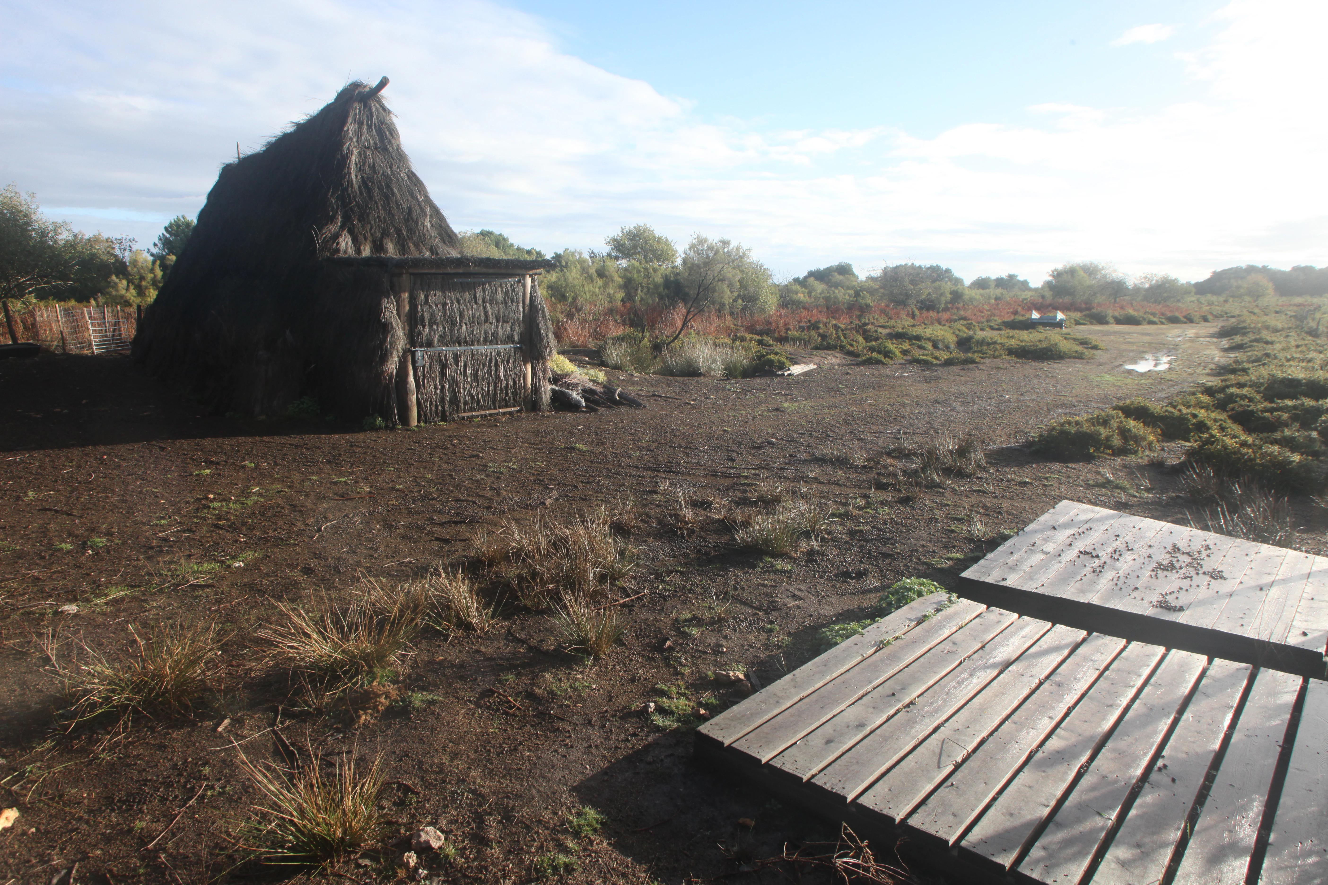 A rustic, dark, thatched-roof hut sits on the left of an open, marshy landscape; a wooden boardwalk platform is in the foreground, with low-lying brush and heather in the background under a cloudy sky.