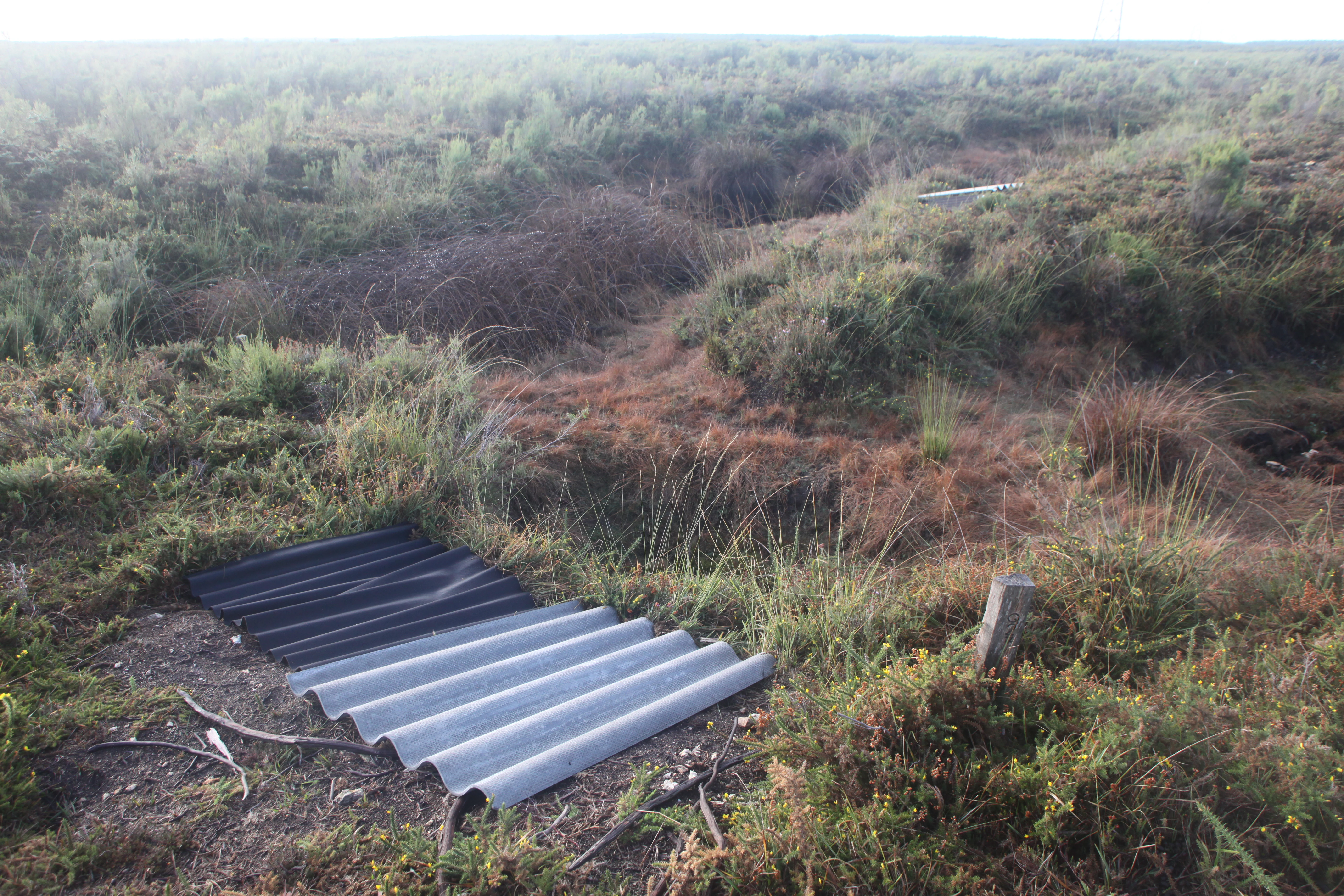 A wide view of a low-lying heather moor landscape with patches of vegetation and small ponds, featuring corrugated roofing sheets lying on the ground in the foreground.