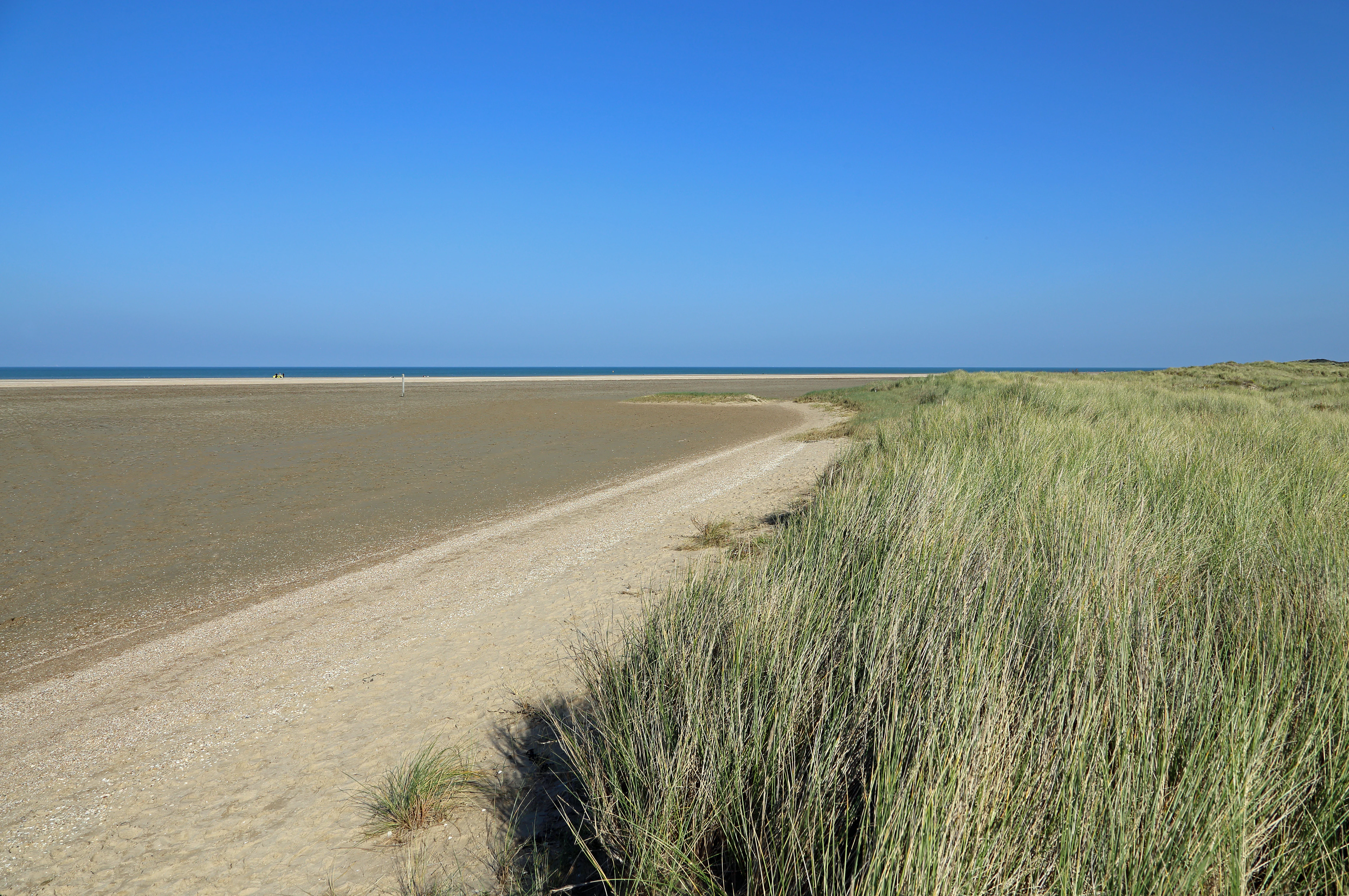 Wide shot of a flat sandy beach meeting the sea under a clear blue sky, with a foreground of dune grasses.