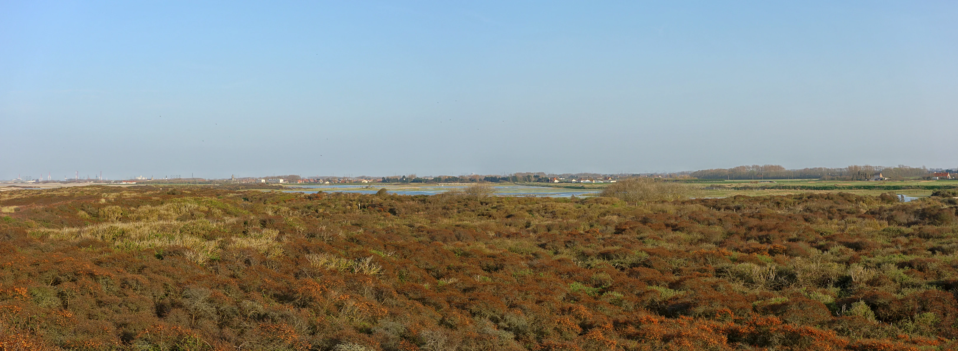 An expansive, slightly elevated view of low-lying coastal shrubs, grasses, and marshy terrain under a clear blue sky, looking across the nature reserve.