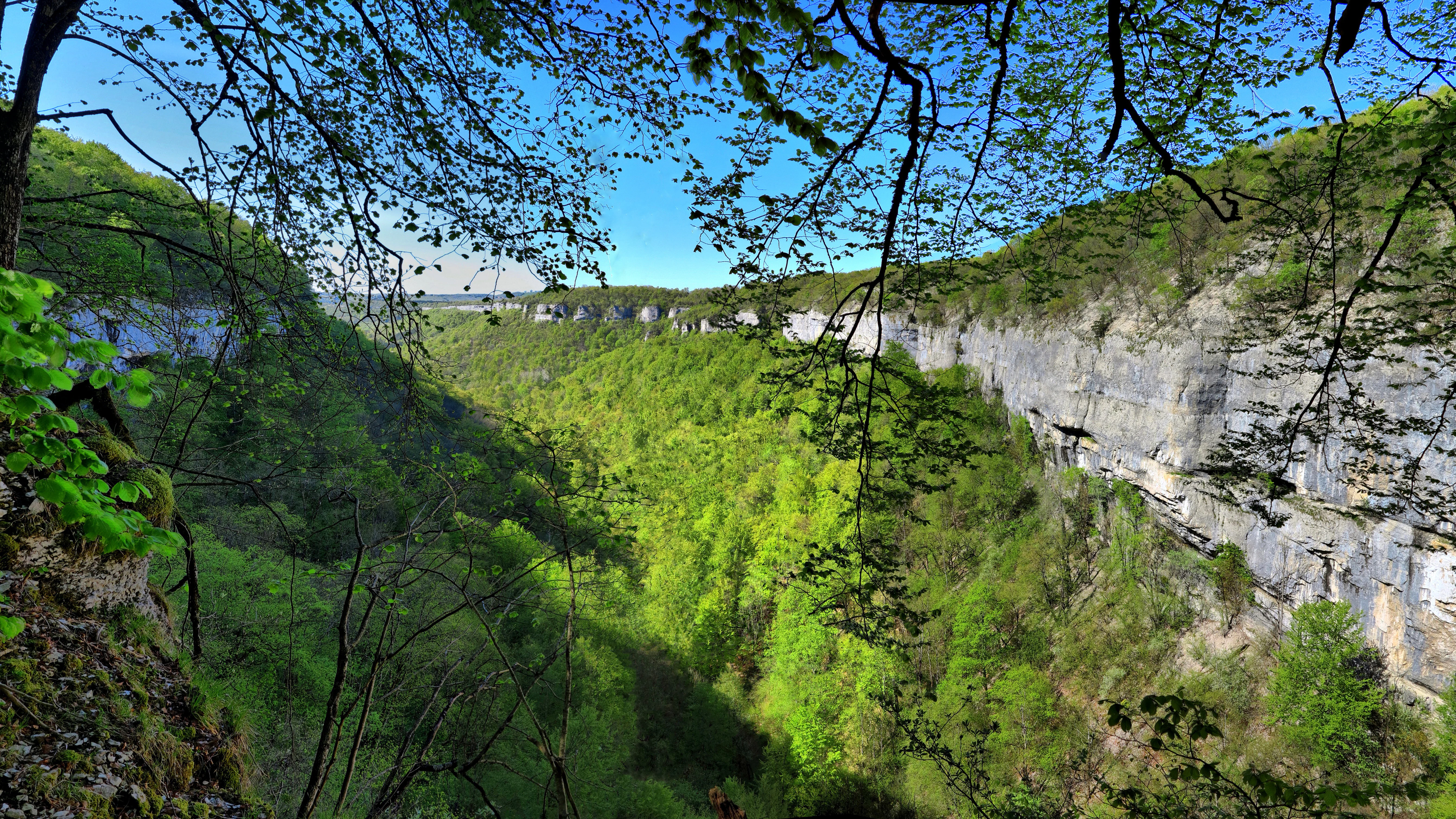 Looking down into a deep, lush green ravine with steep, exposed limestone cliffs on the right side and dense forest covering the slopes under a bright blue sky, viewed through tree branches in the foreground.