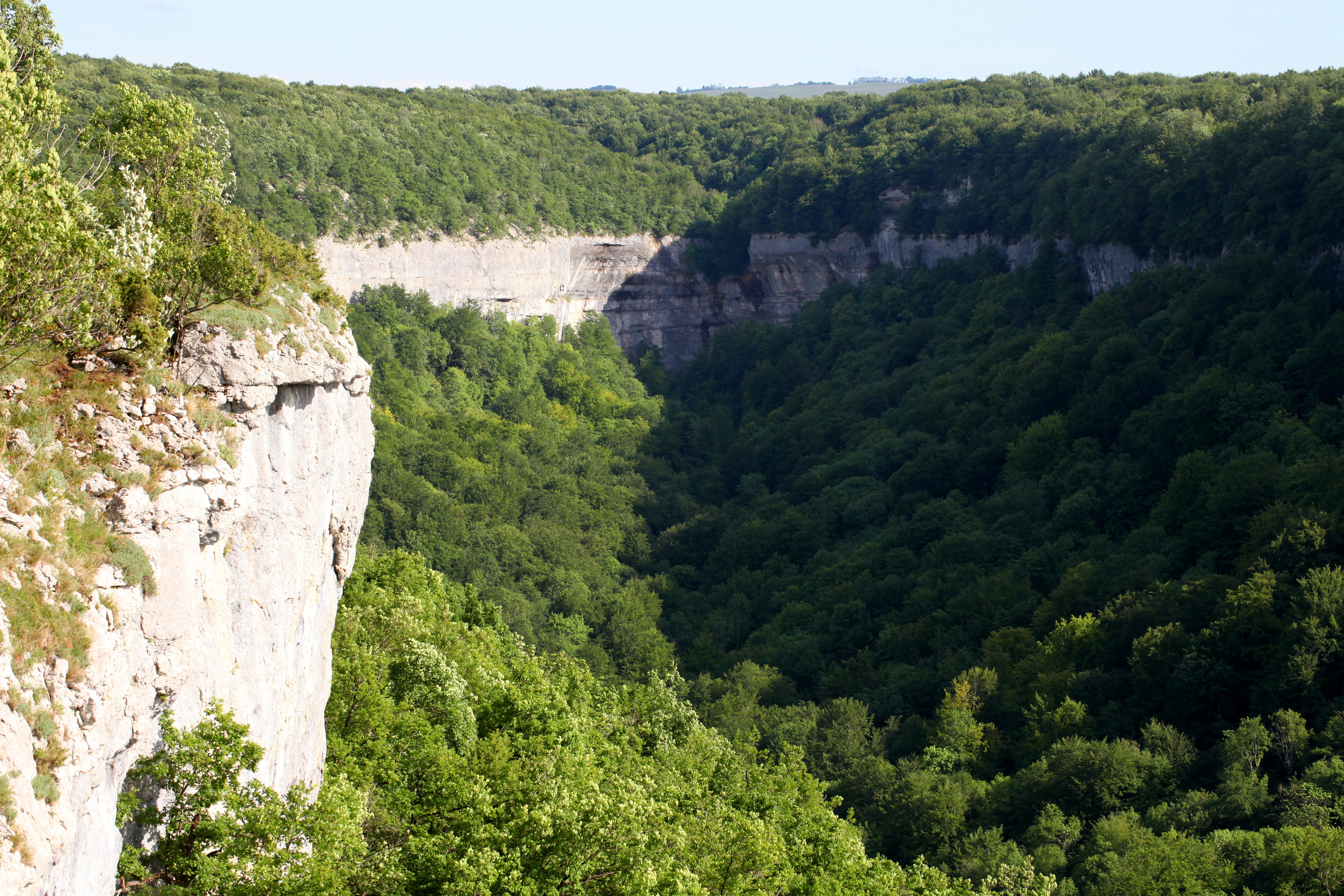 A deep, verdant ravine framed by tall, light-colored limestone cliffs and thick deciduous forest.