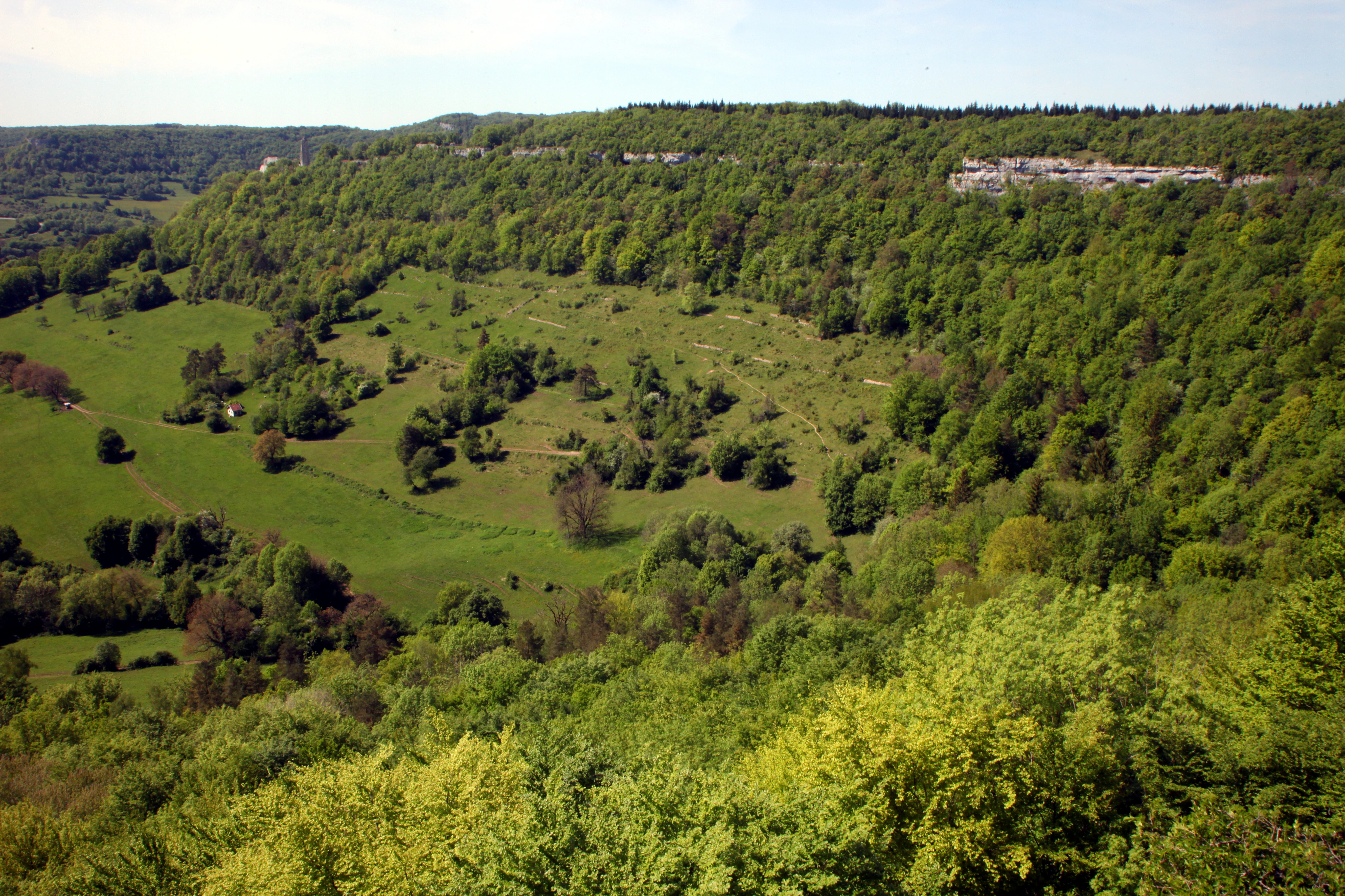 A high-angle view of a valley with lush green hillsides, scattered trees, and exposed limestone rock outcrops along the ridgeline.