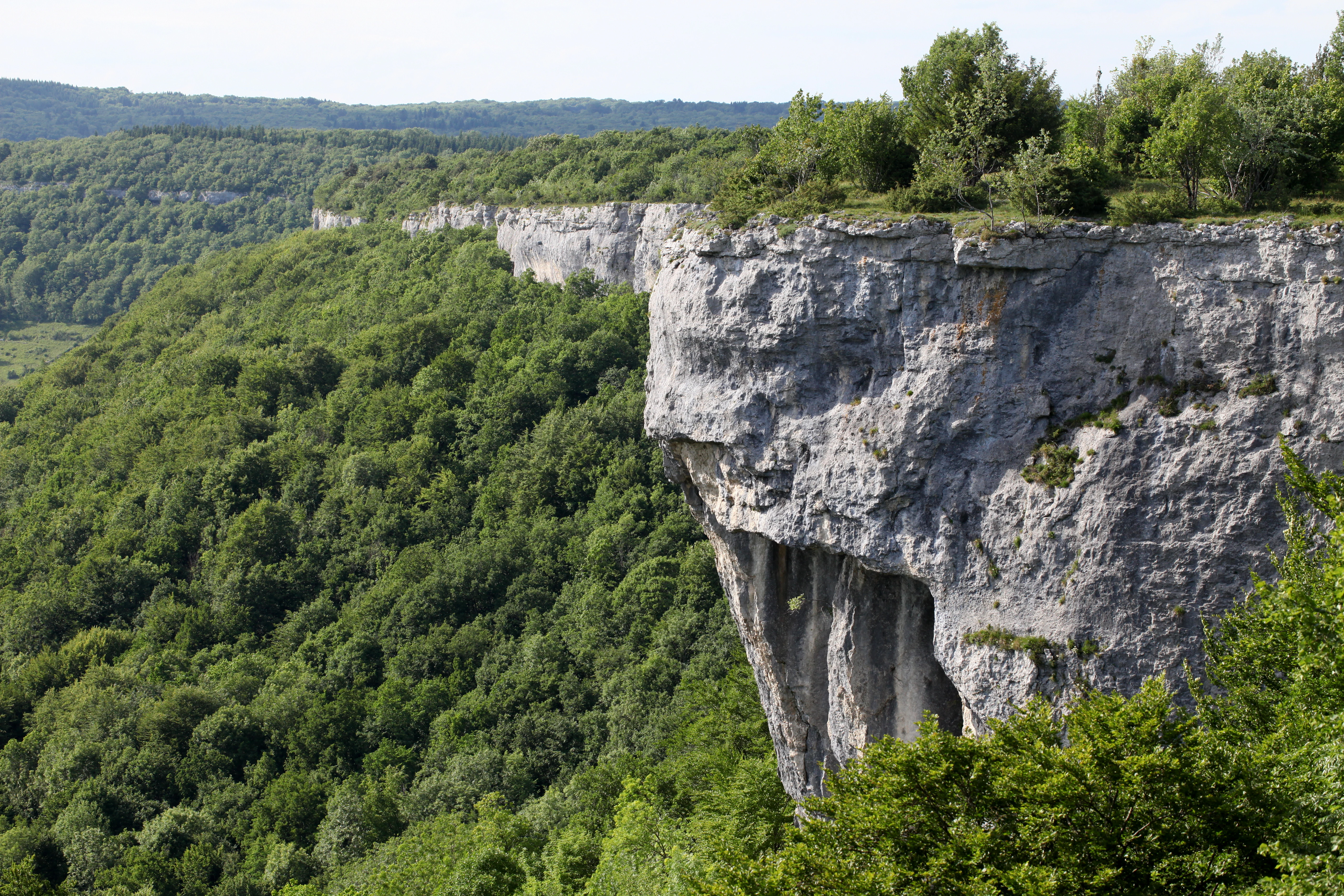 A steep, rugged limestone cliff rises above a dense forest in the Valbois ravine, with green trees covering the slopes.