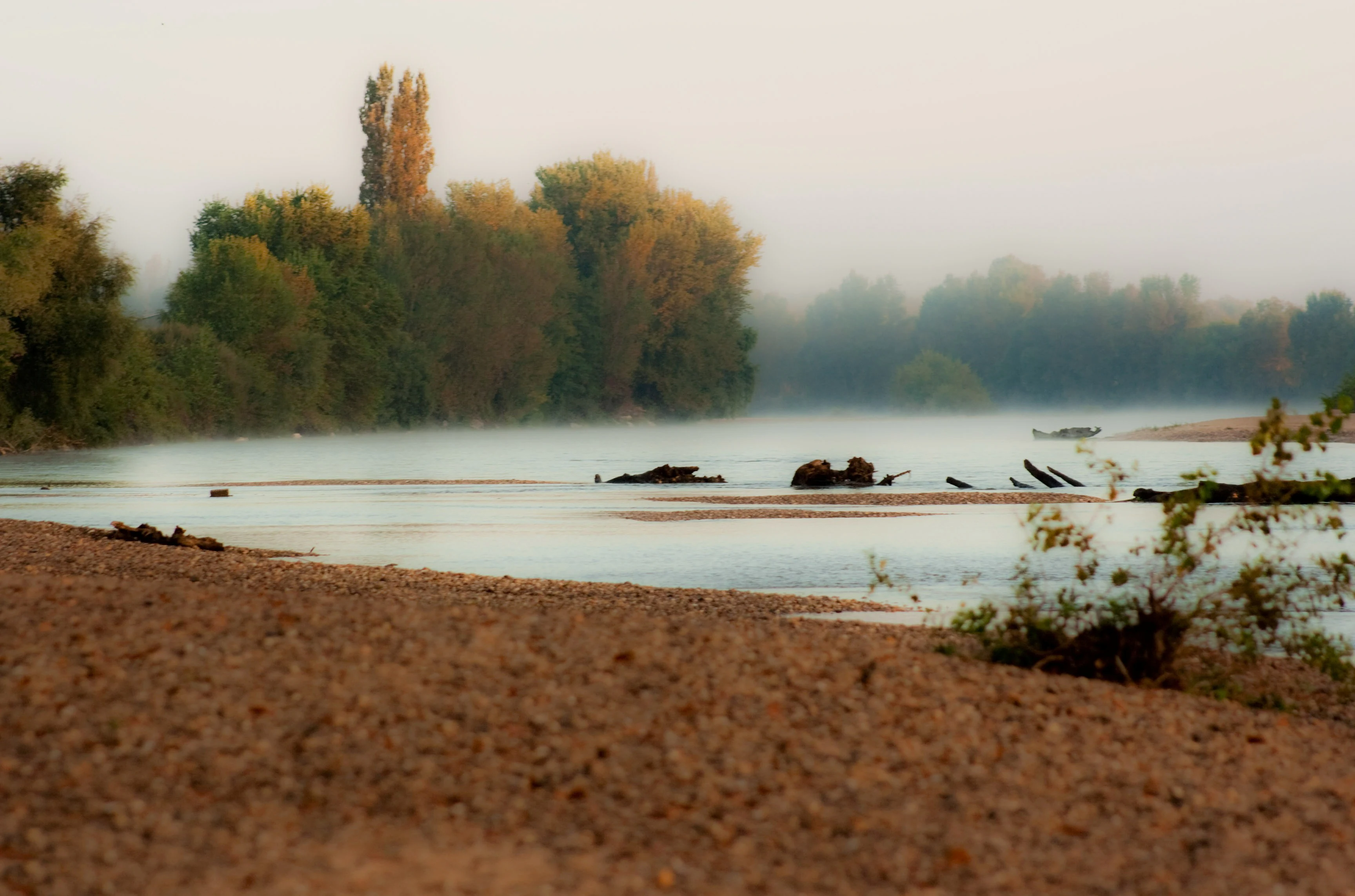 A peaceful, misty view of the Allier River at dawn, showing a sandy foreground, calm water, and trees along the riverbank.