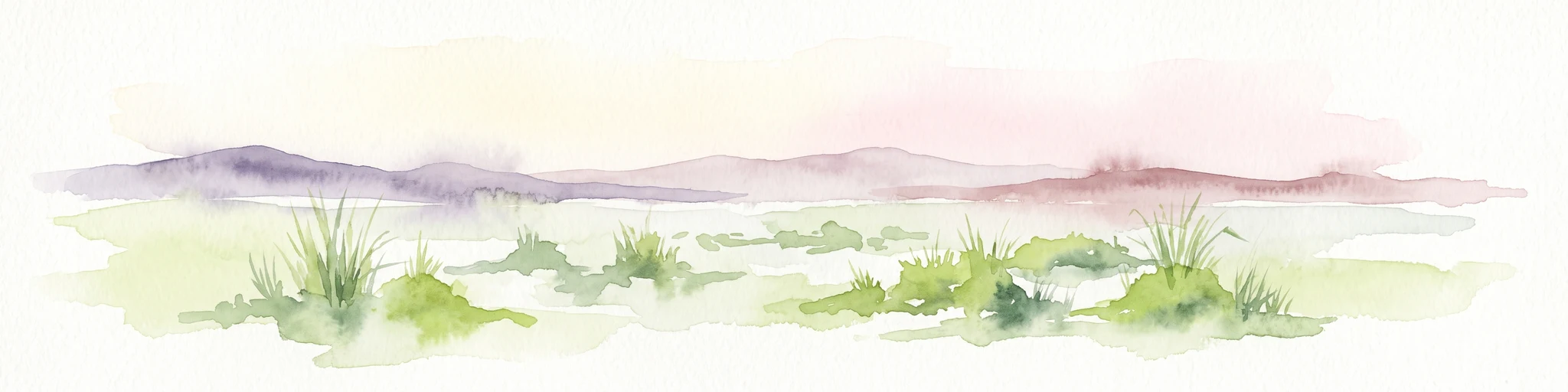 A watercolor painting showing a wide, panoramic view of a marshy landscape with green clumps of grass in the foreground and soft purple hills in the distance.