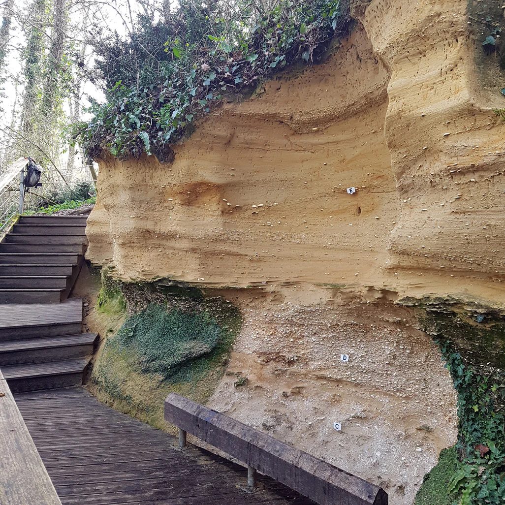 A wooden boardwalk leads along the base of a tan, layered sedimentary cliff wall with numbered markers indicating different geological strata.