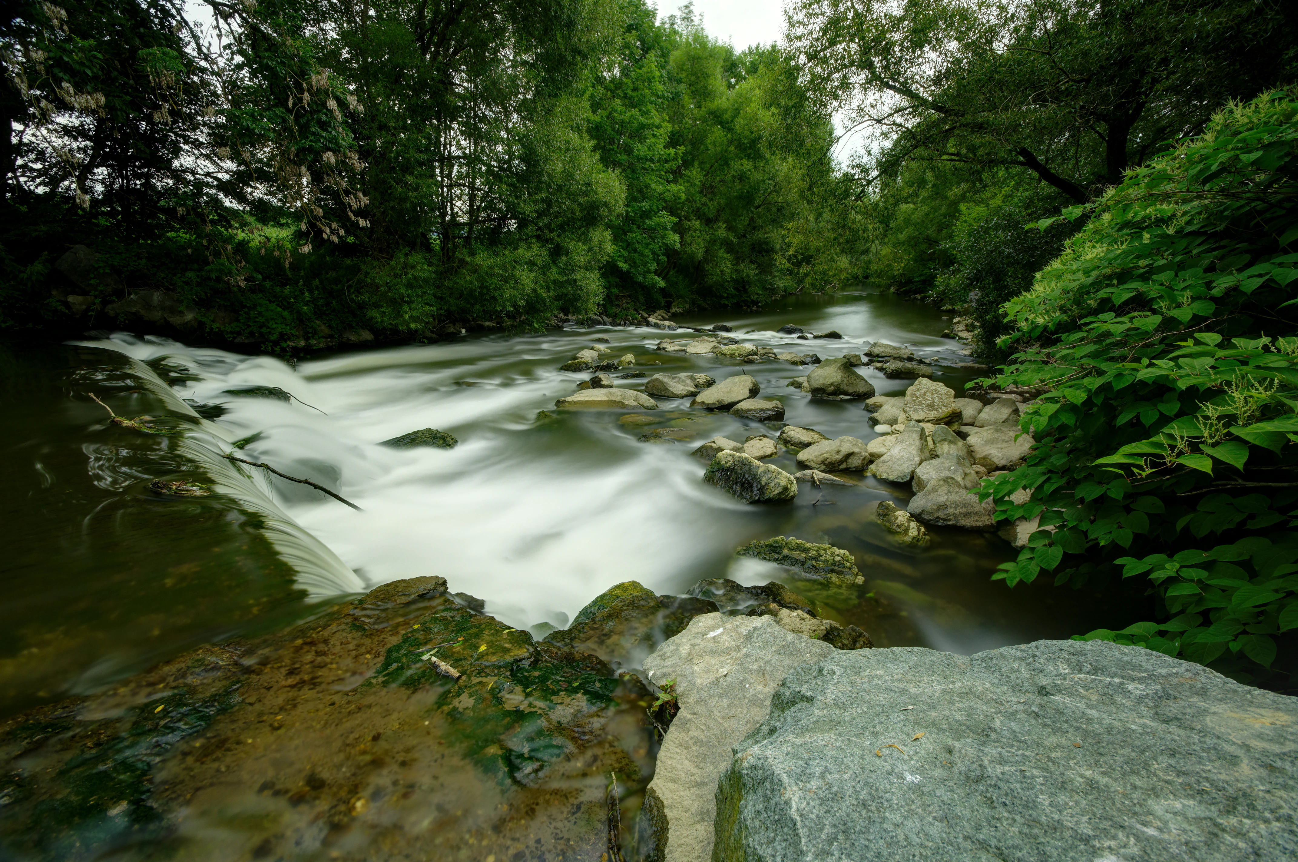 A river with silky white water flowing over grey rocks, flanked by lush green trees and mossy stones in the foreground.