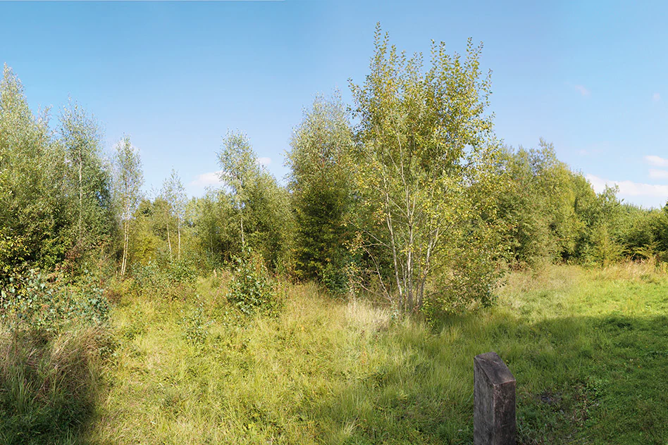 A sunny, open landscape with scattered trees, shrubs, and grassy meadows under a clear blue sky, with a small weathered post in the lower right foreground.