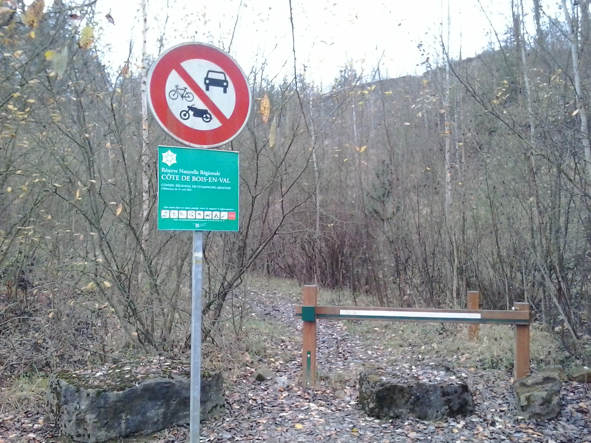 A green nature reserve sign and a circular prohibition sign for vehicles are mounted on a metal pole at the edge of a forest trail, with a wooden barrier gate nearby.