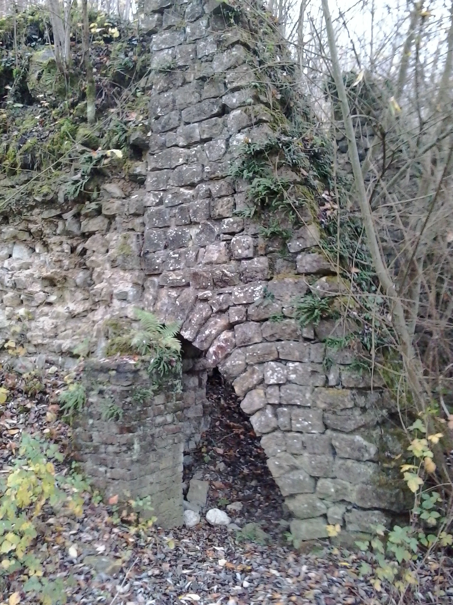 The moss-covered stone archway and walls of a historic lime kiln partially hidden in a wooded area.