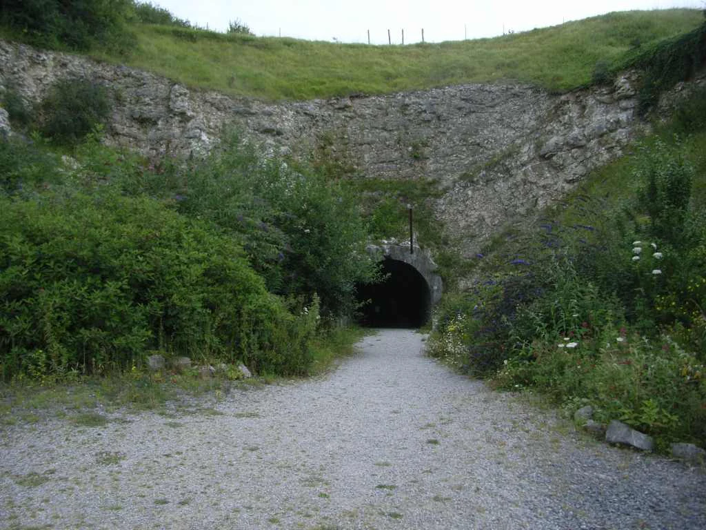 A dirt path leading into a dark, tunnel-like entrance carved into a grassy, rocky hillside.