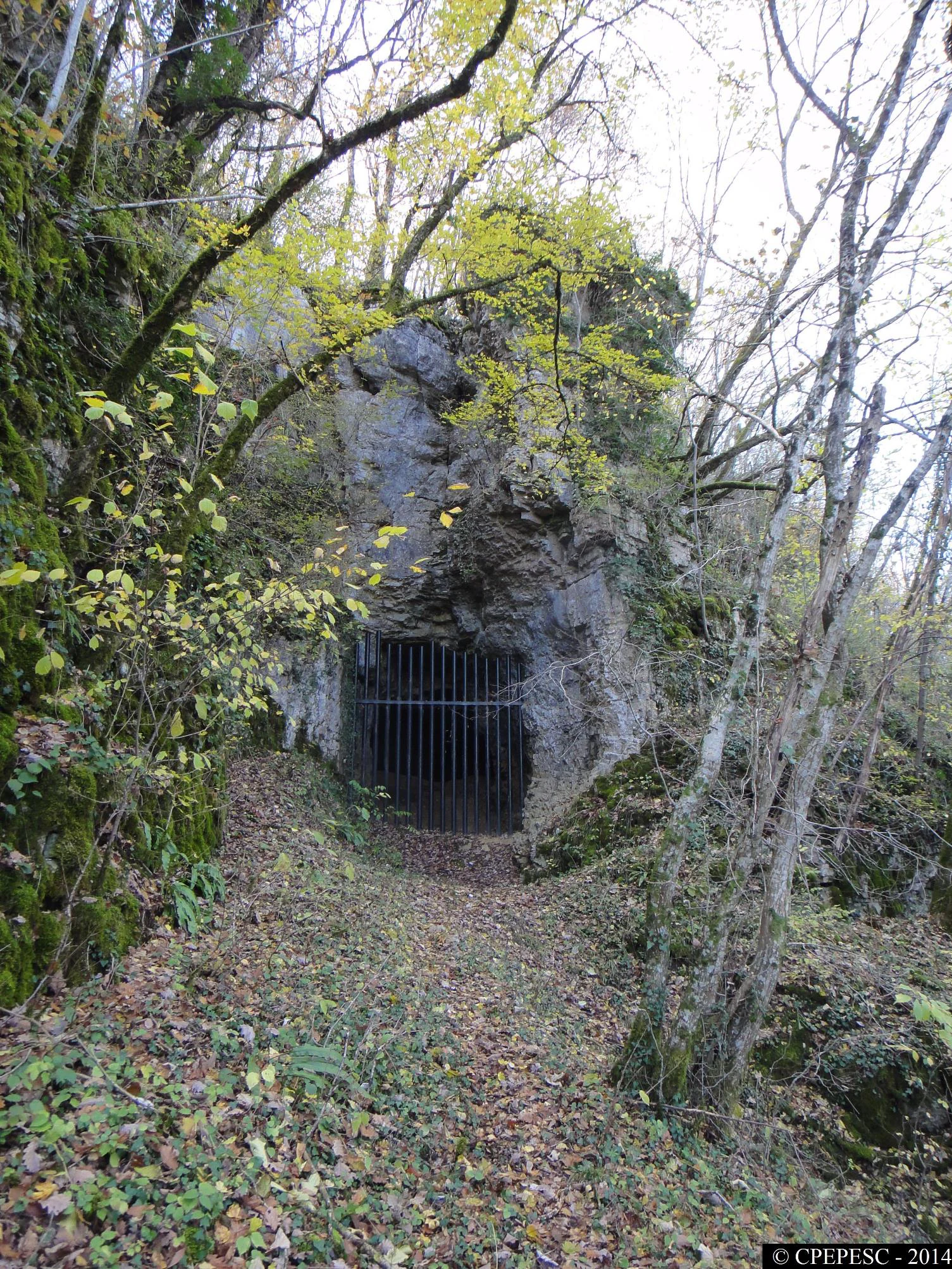 A metal gate blocks the entrance to a cave in a rocky cliff, surrounded by trees and a leaf-covered path.