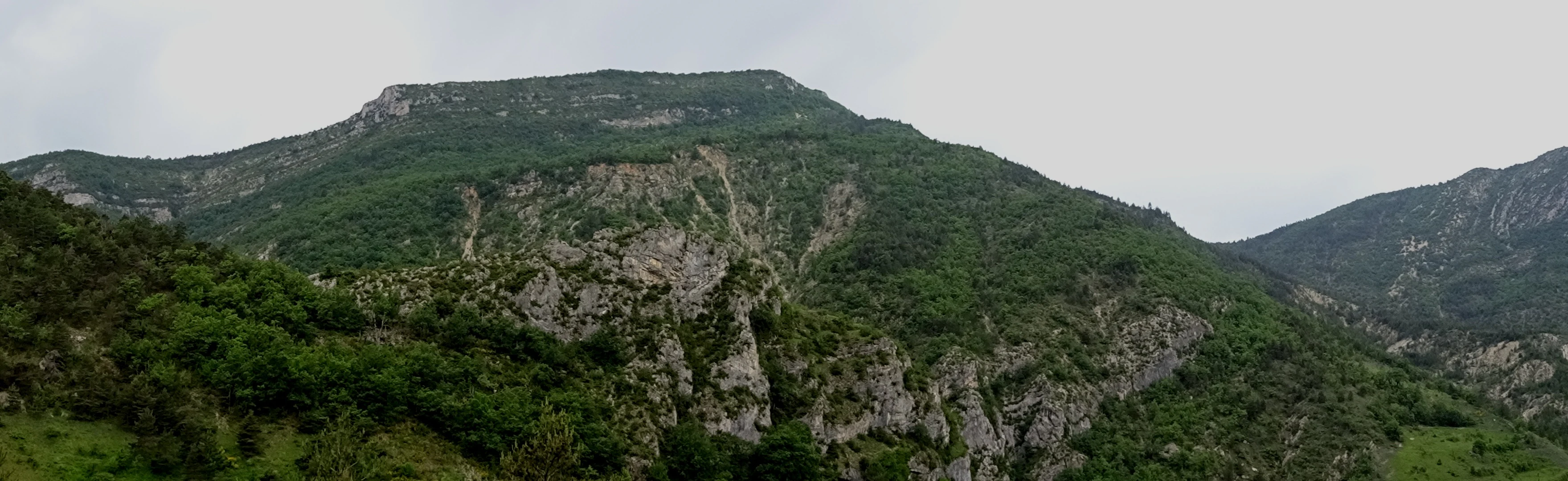 A wide panoramic landscape shot showing a rocky limestone mountain slope covered in green forest vegetation under a cloudy sky.