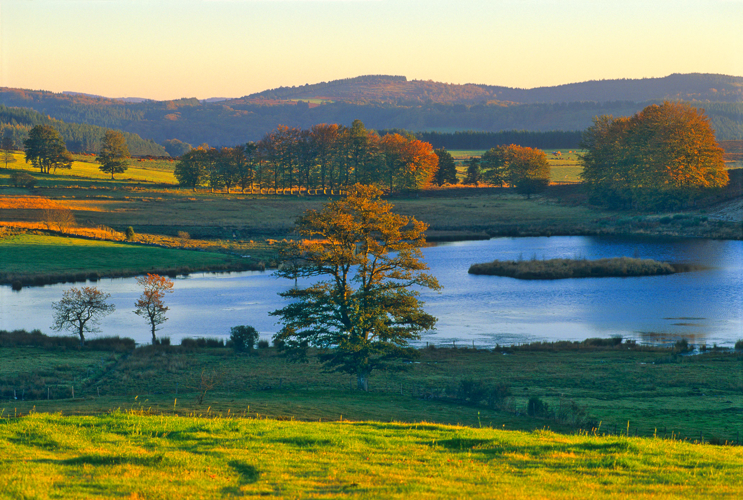 A peaceful landscape view of a small pond surrounded by grassy fields and autumnal trees, with rolling hills in the background under a soft golden sunset sky.