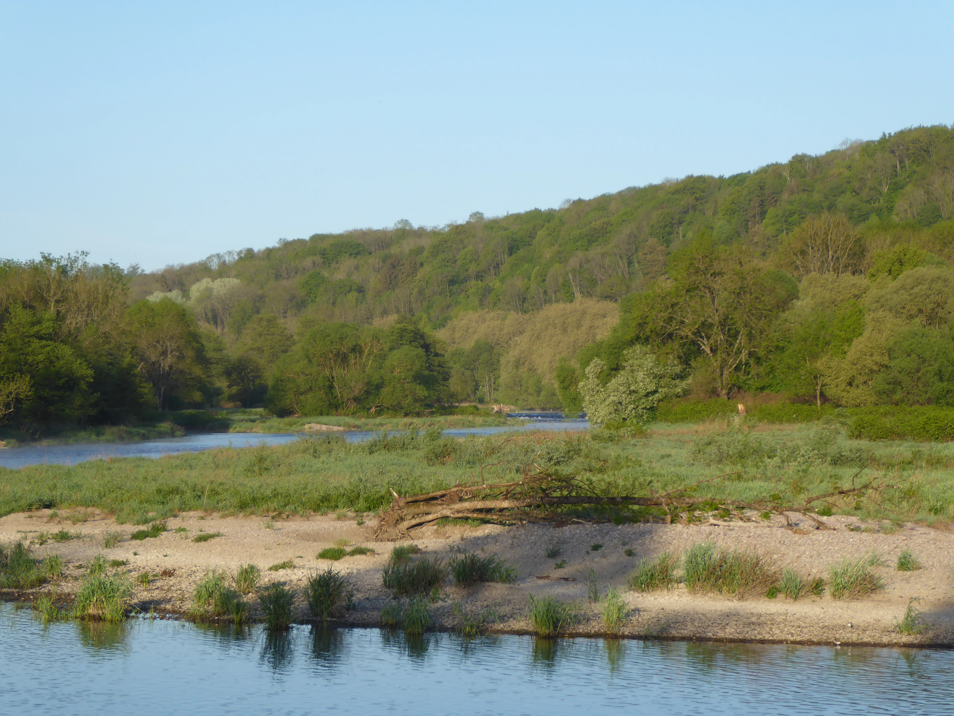 A wide, scenic view of the Moselle River with a gravel riverbank and dense green riparian forest along the banks.