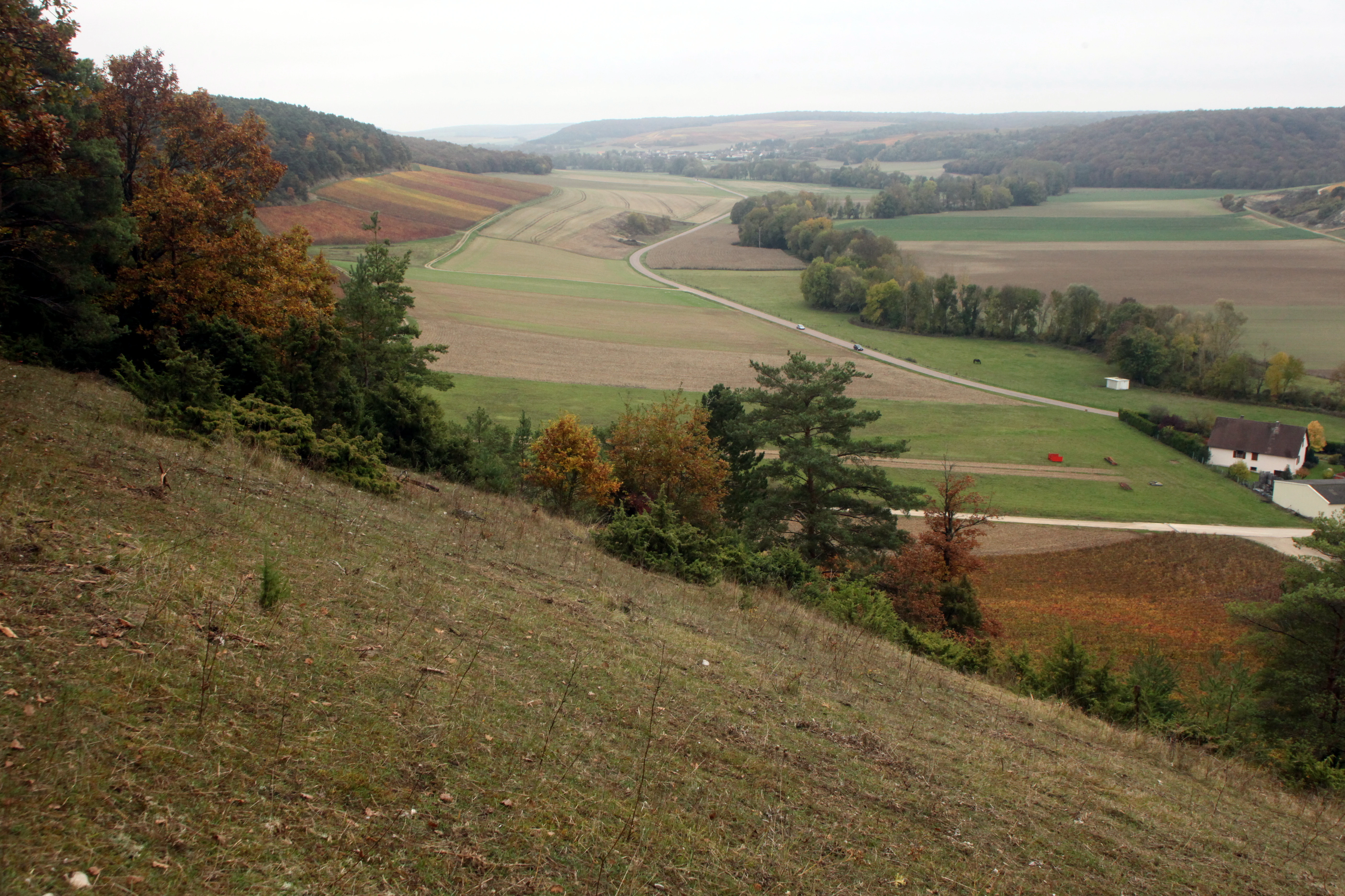 A wide angle view looking down from a grassy hillside slope into a valley with farmland, scattered trees, and a small building in the distance.