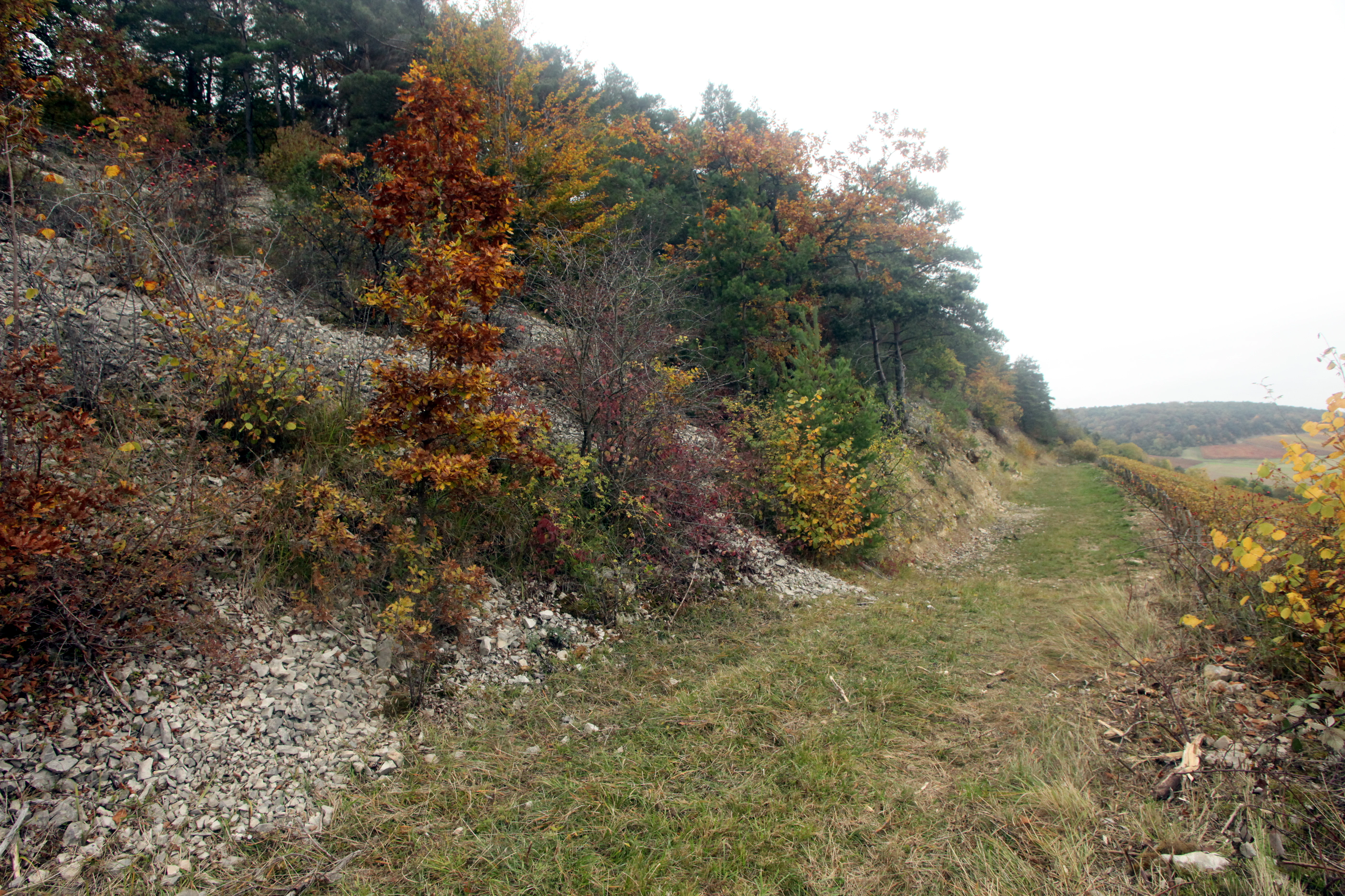 A sloped landscape features a grassy path alongside a rocky hillside covered in autumn-colored trees and shrubs under an overcast sky.
