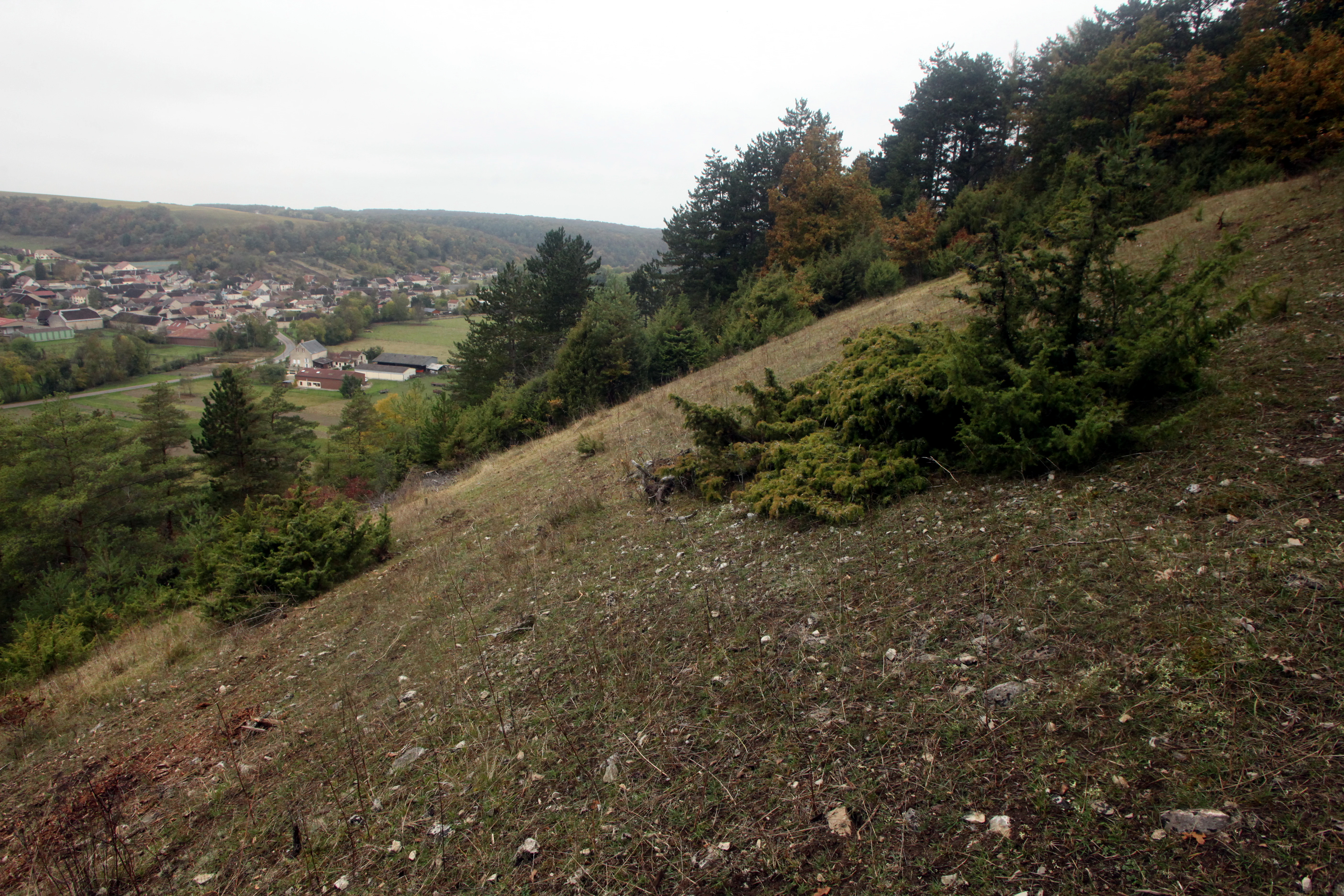 A downward-sloping grassy hill with scattered juniper bushes leads toward a valley containing a small village under a cloudy sky.