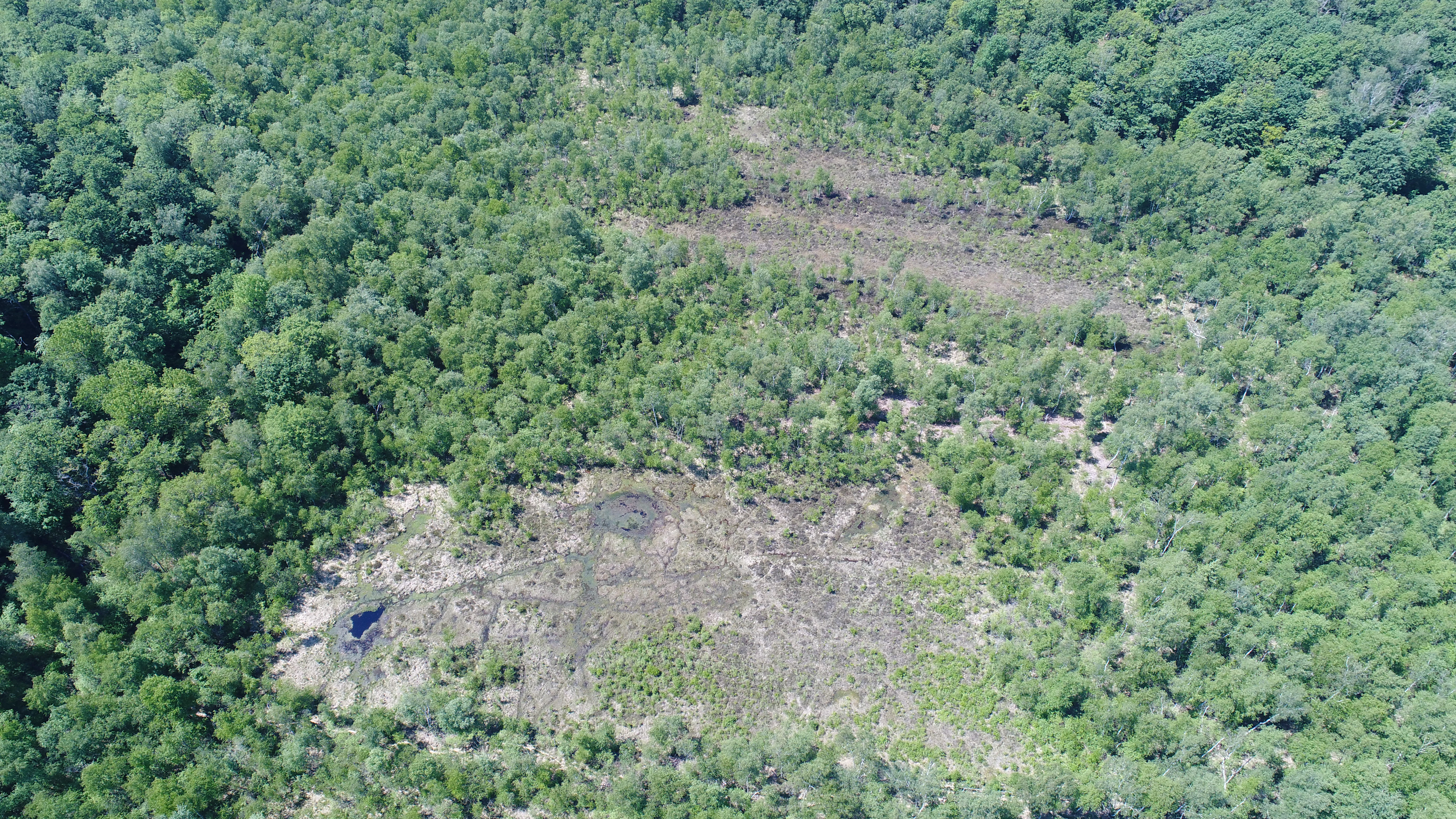 Aerial photograph showing two irregular brownish-gray peat bog clearings surrounded by dense green deciduous forest.