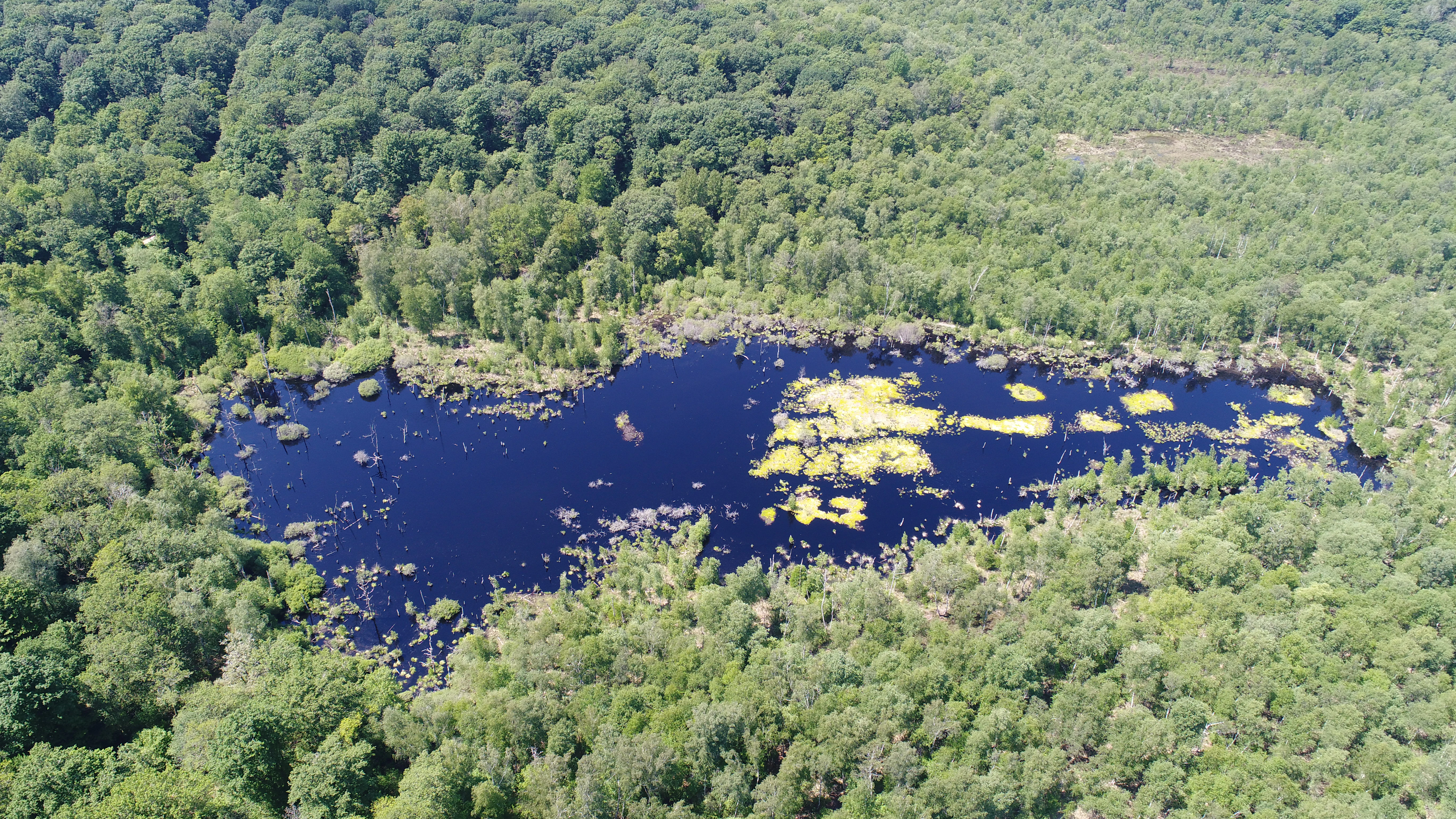 Aerial photograph showing a dark blue peat bog with patches of yellow-green vegetation, completely surrounded by a dense green forest.