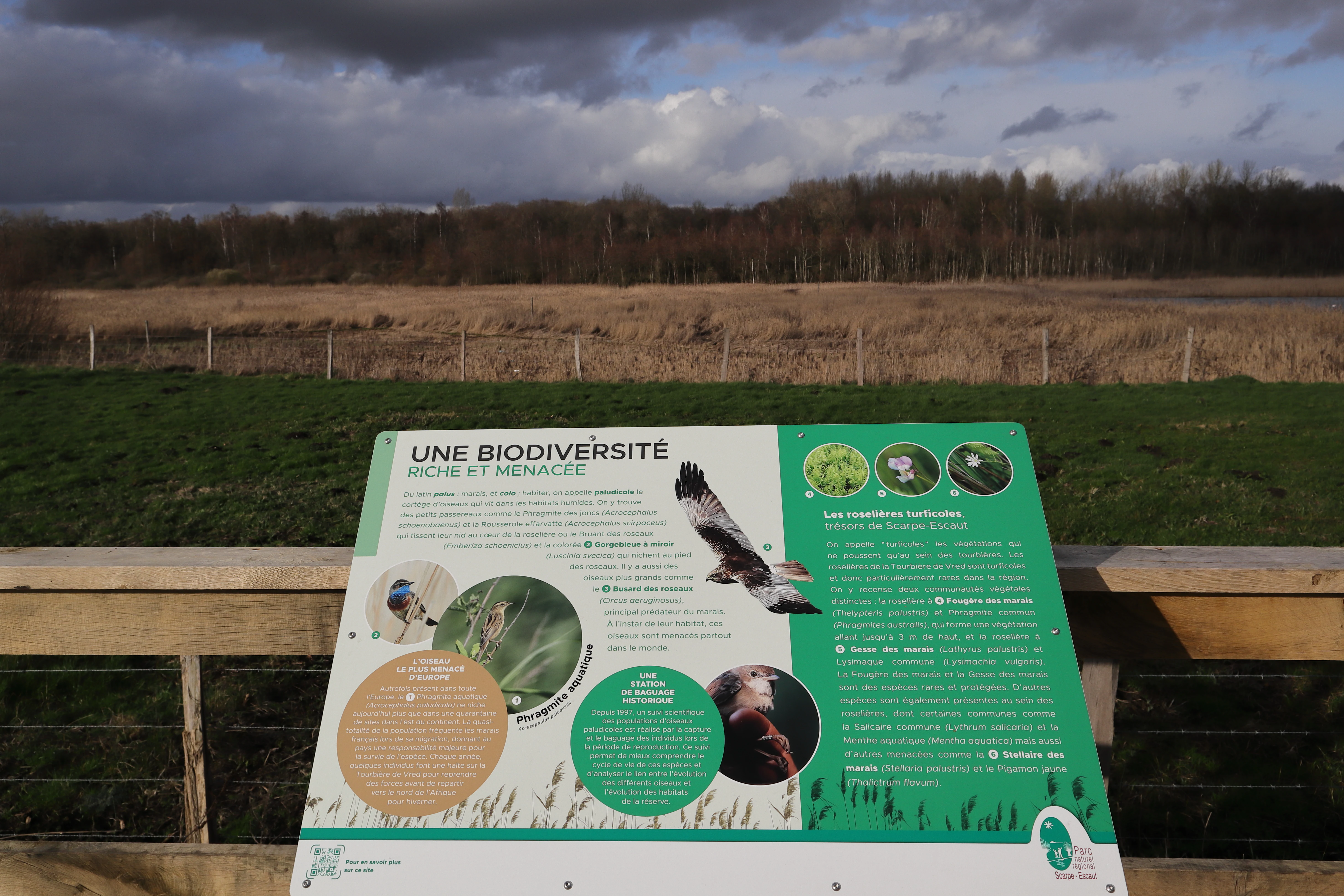 An informational sign about biodiversity at a nature reserve, with a grassy field and bare treeline visible in the background under a cloudy sky