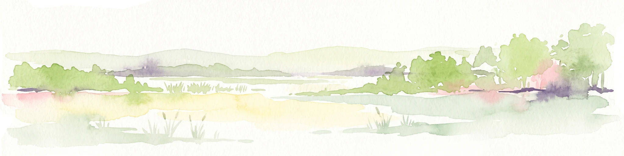 Una pintura en acuarela que muestra un suave paisaje panorámico de una turbera o humedal con vegetación verde clara, árboles dispersos y colinas onduladas a lo lejos sobre un fondo blanco.